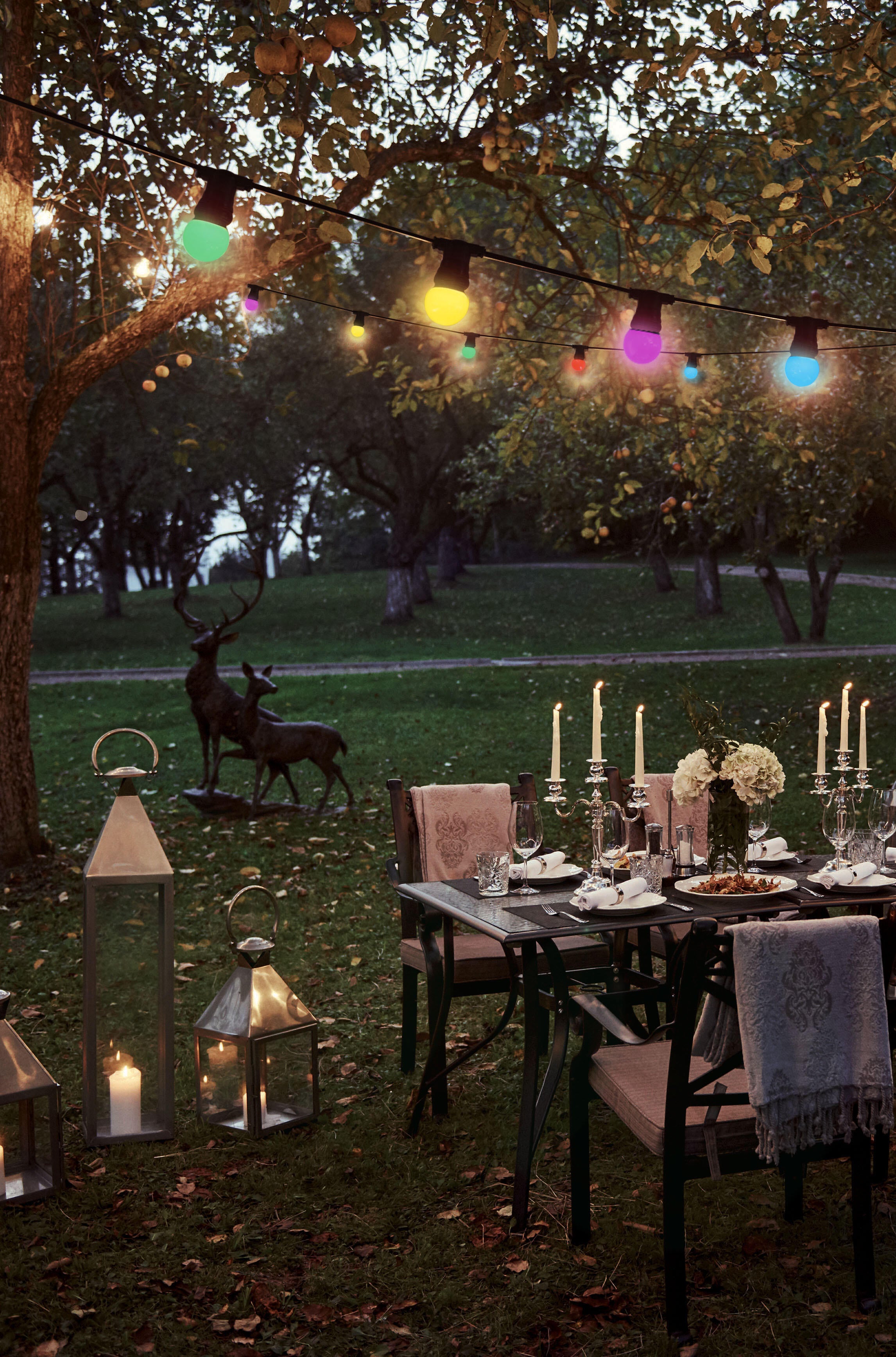 Guirlande extérieure 10 ampoules B22 multicolores 300 Lumens Pro 10m TIBELEC - 3