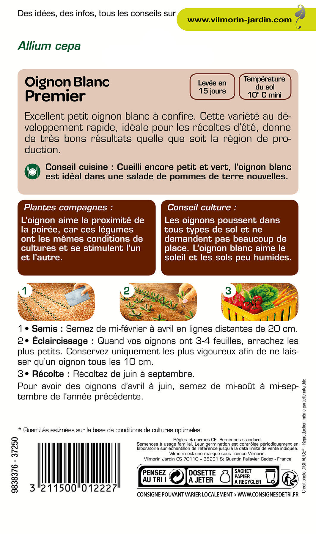 Graines de oignon VILMORIN 3 g - 2