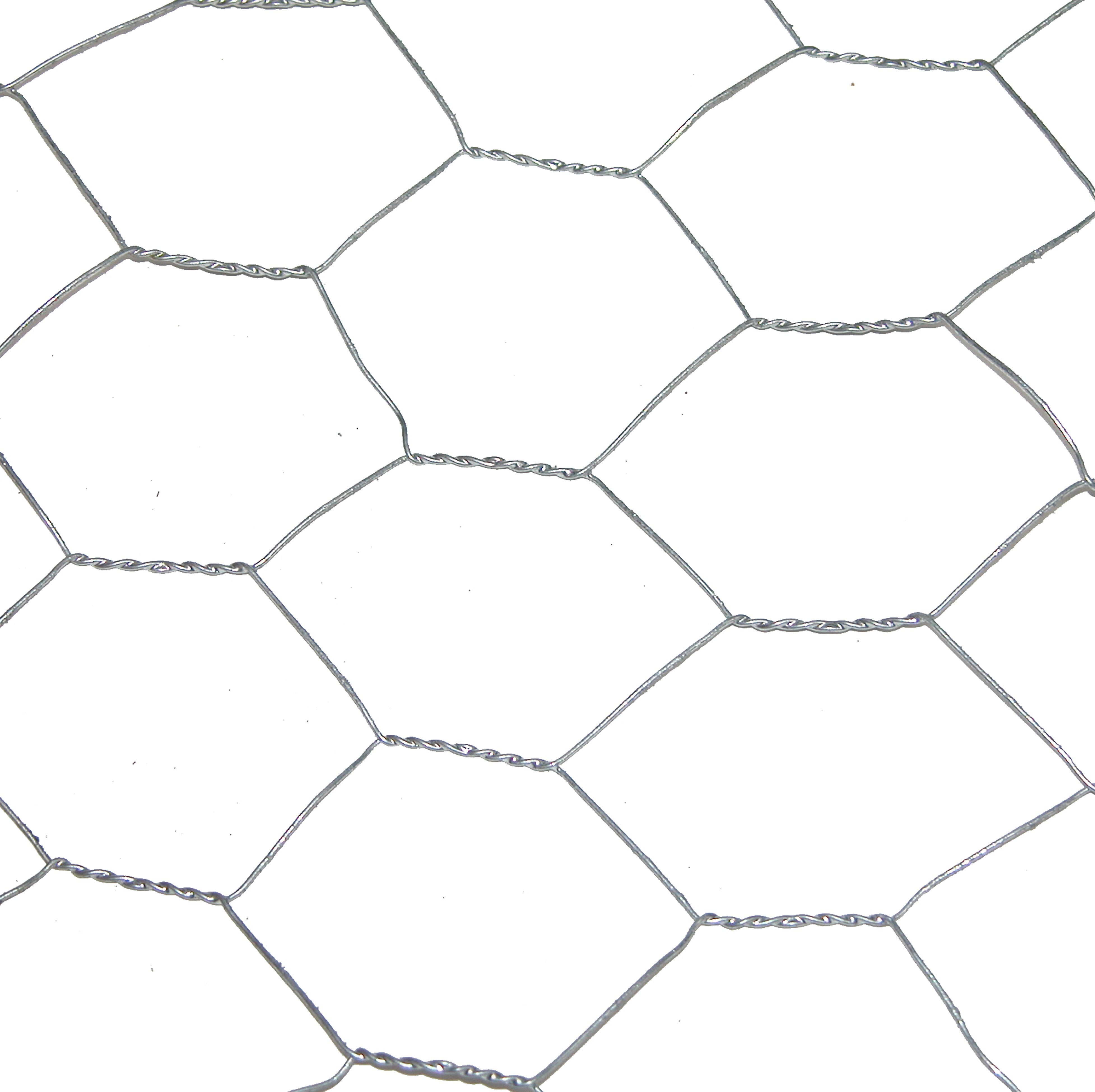 Grillage pour animaux triple torsion gris, H.1 x L.10 m, maille H.40 x l.40 mm - 2