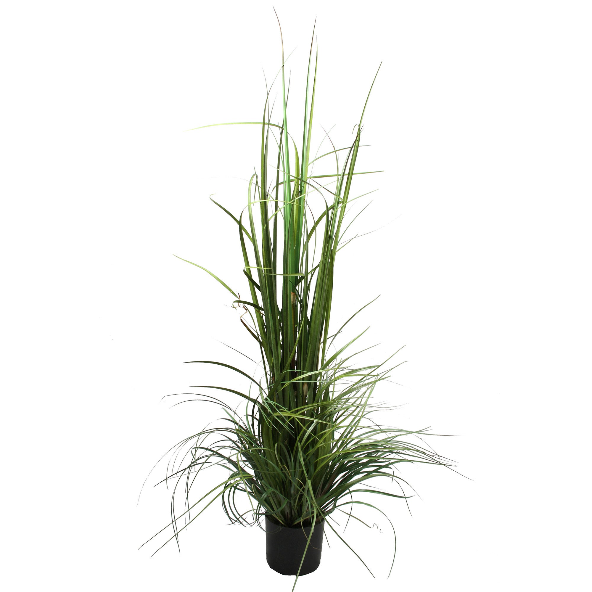 Herbe de la pampa graminées artificielles herbes hautes H150 cm, Ligne Déco - 2