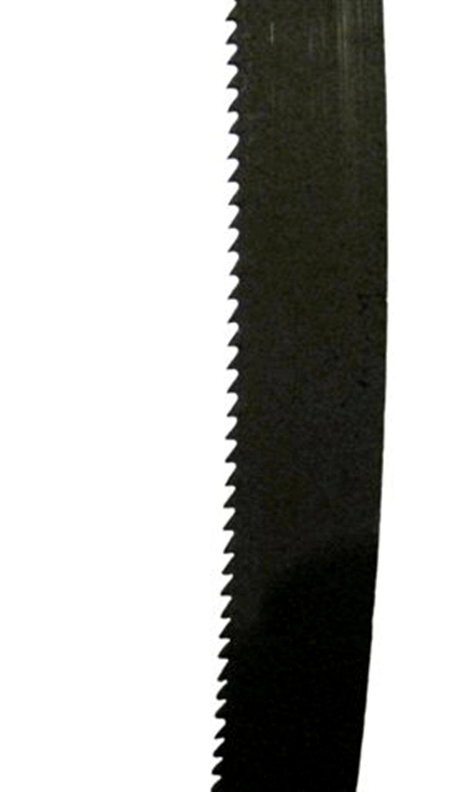 Lame Scie à Ruban 1400 X 10 X 0,36 Mm - 10 Dents Par Pouce - Acier Carbone Dents Trempées