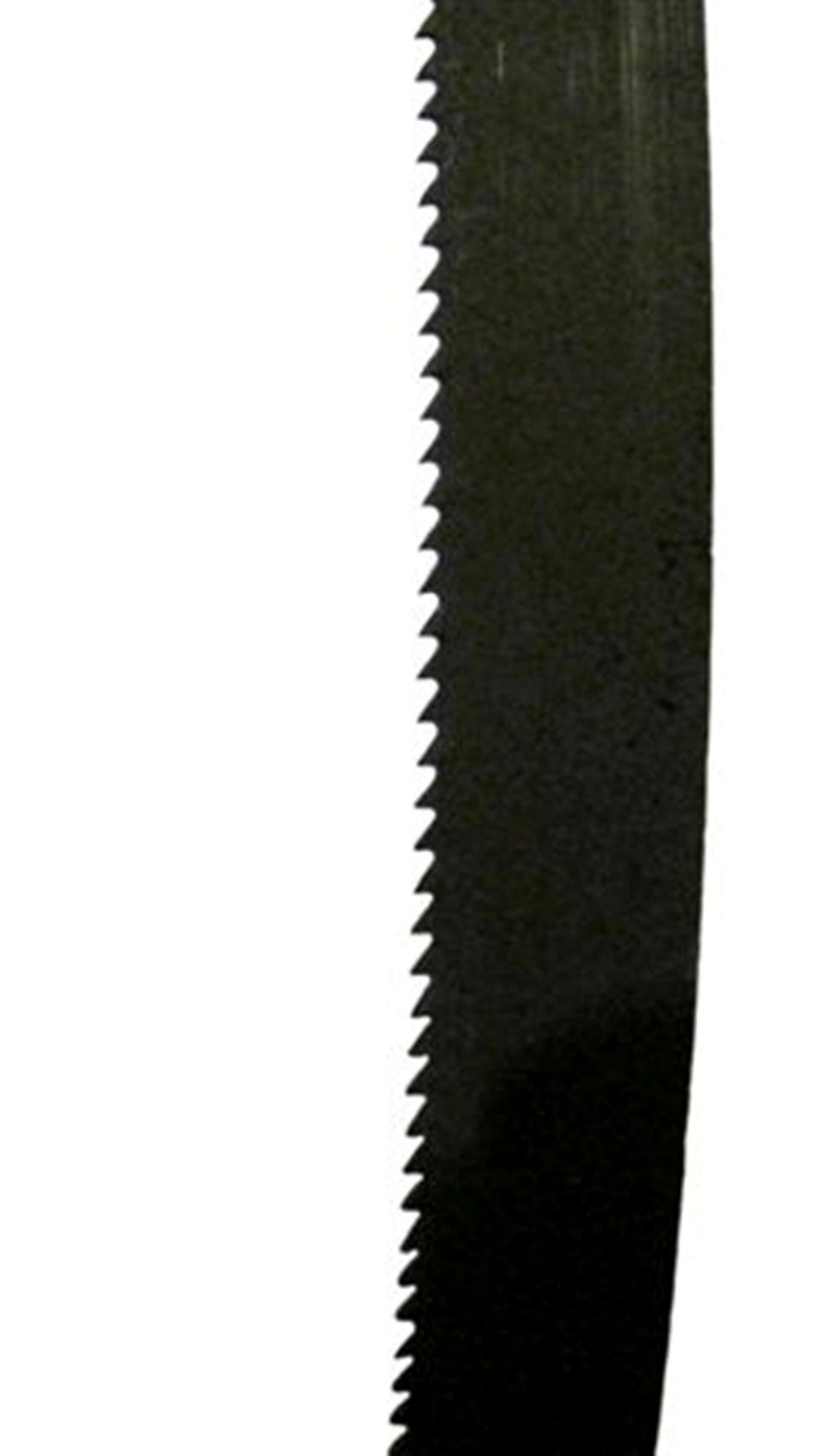 Lame Scie à Ruban 1400 X 10 X 0,36 Mm - 10 Dents Par Pouce - Acier Carbone Dents Trempées