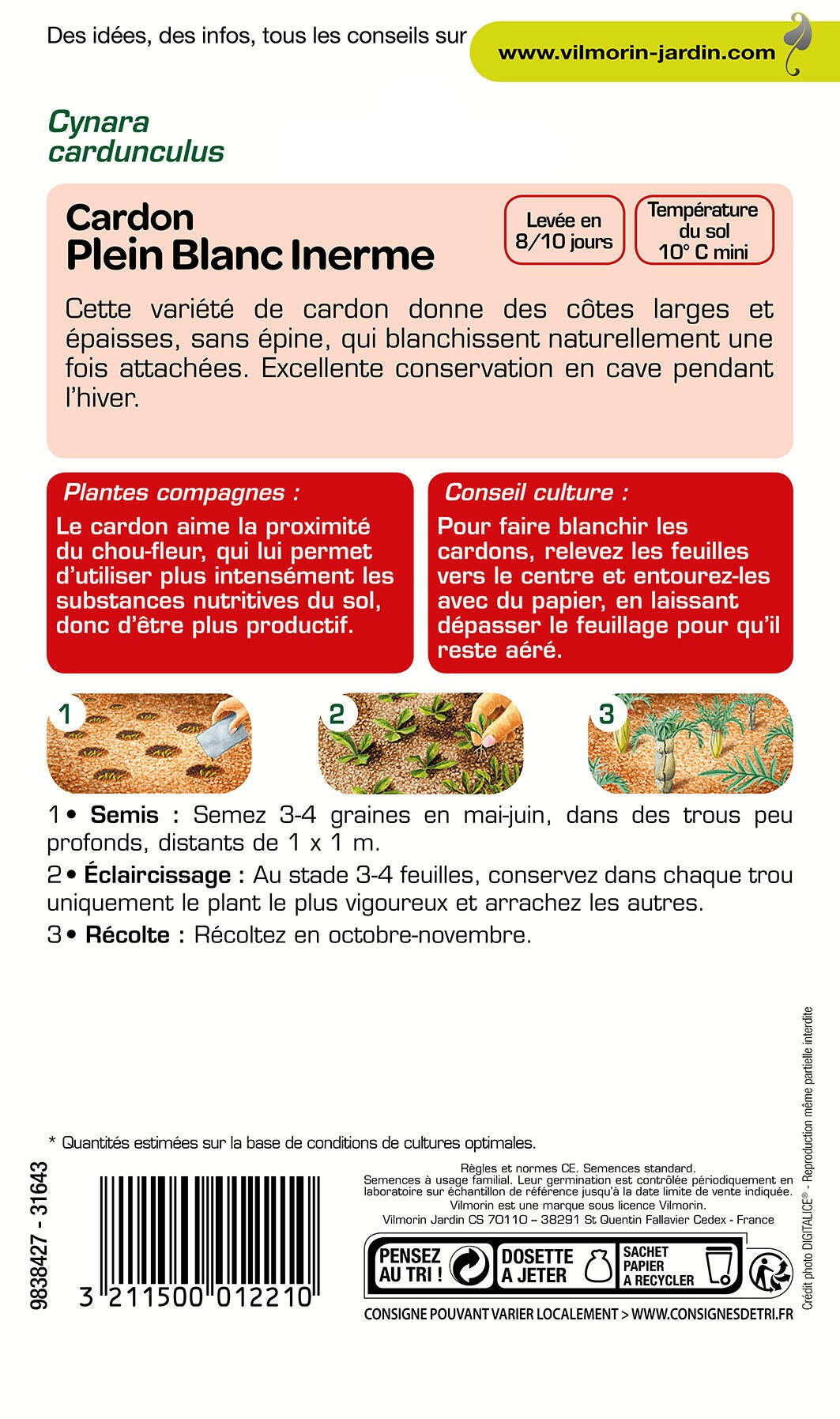 Cardon plein blanc VILMORIN 5 g - 2