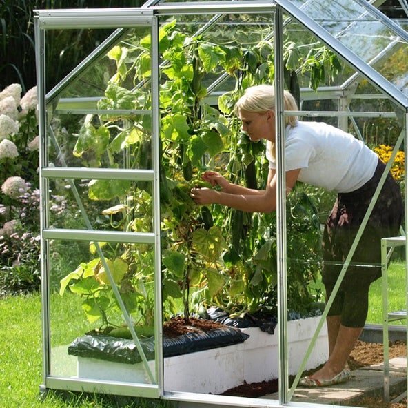 Quelle taille pour une serre de jardin selon vos besoins ? - Jardiland