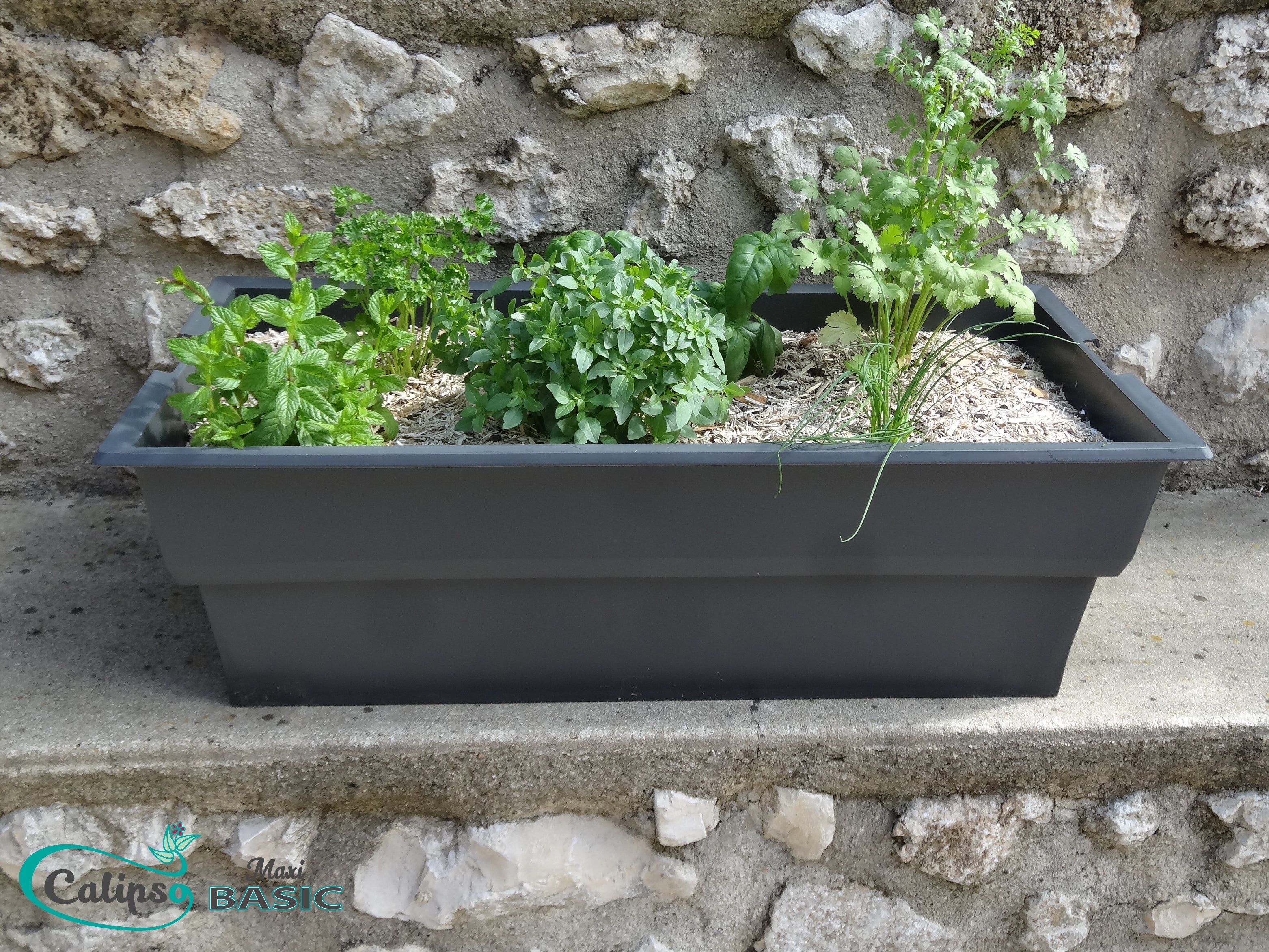 Potager sur pied polypropylène Basic l.81 x H.80 cm CALIPSO - 3