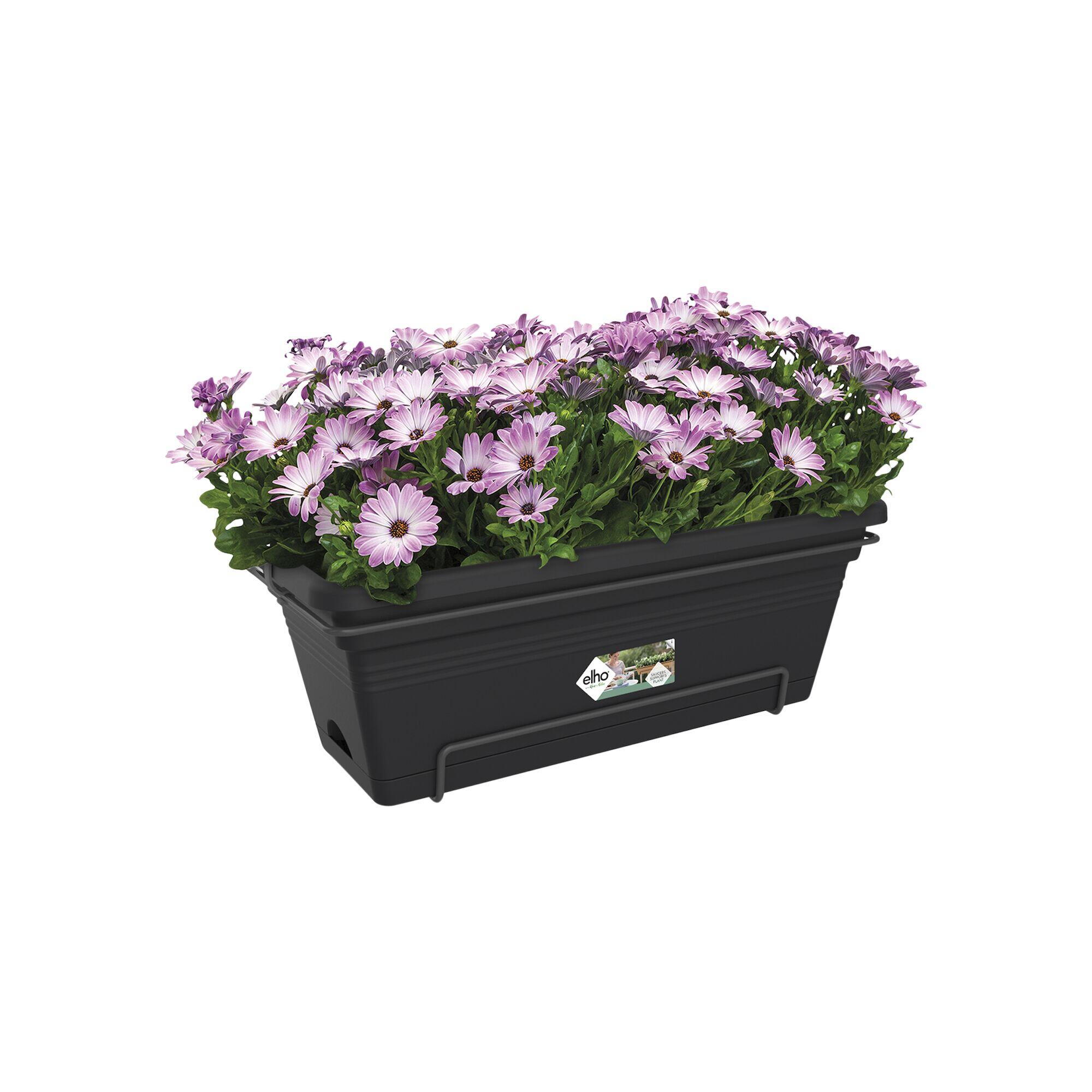 Pot polypropylène ELHO Green basics, L.56.4 x l.32.3 x H.22.7 cm, living noir - 2