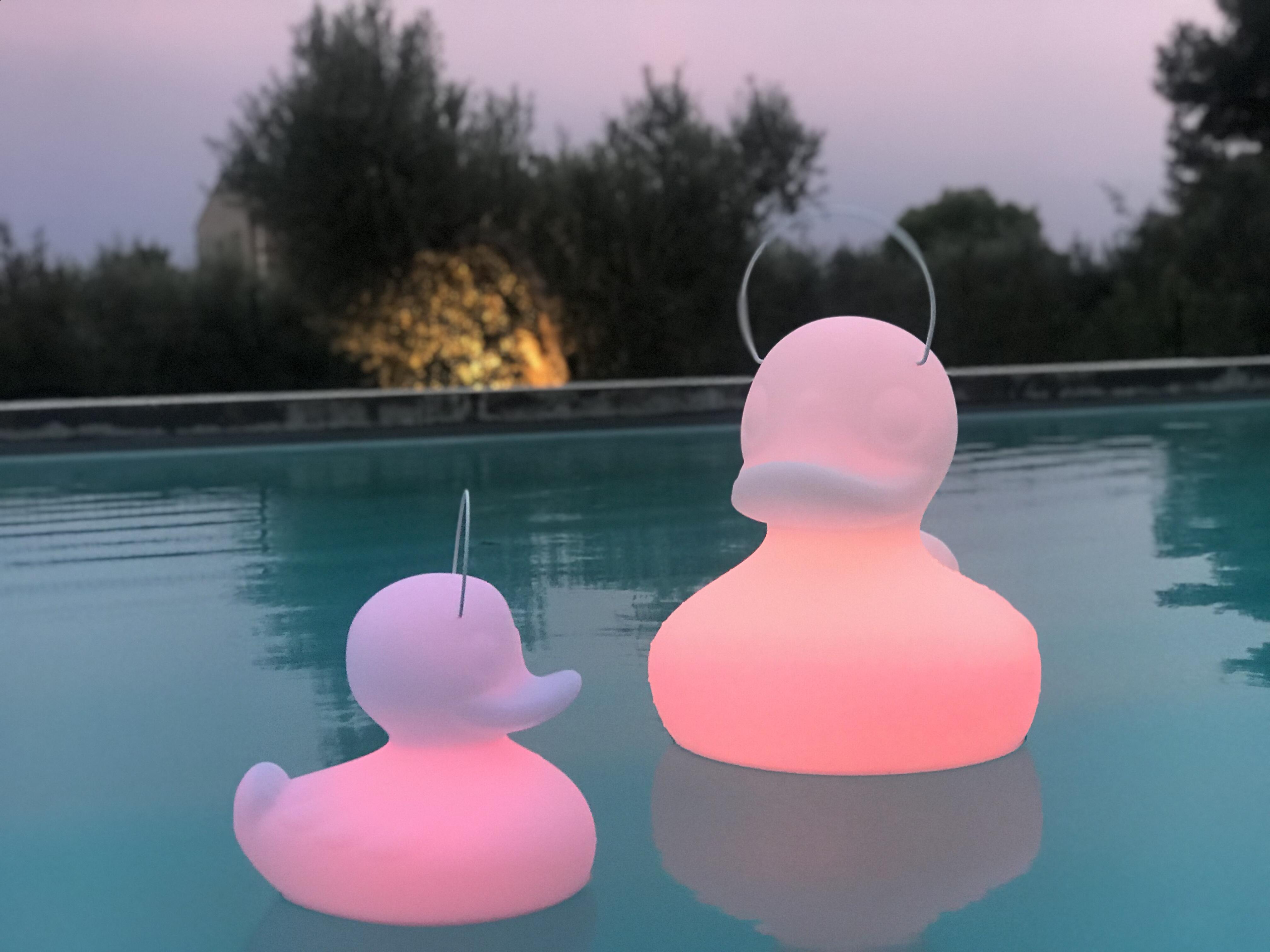 Lampe extérieure LED Duck h.30 cm 290 Lumen blanc GOOD NIGHT LIGHT - 5