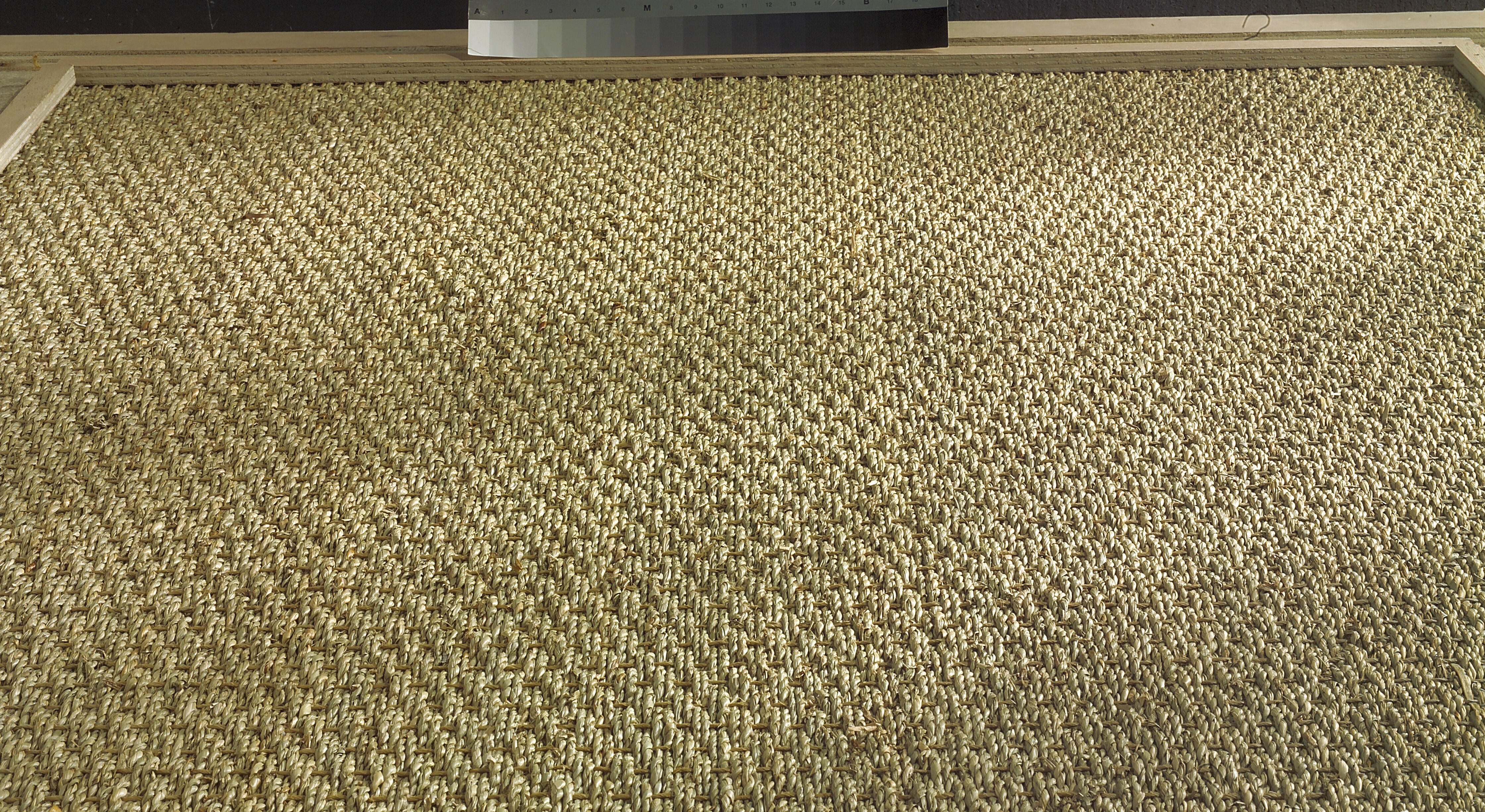 Jonc de mer uni beige, Classique, rouleau l.4 m - 3