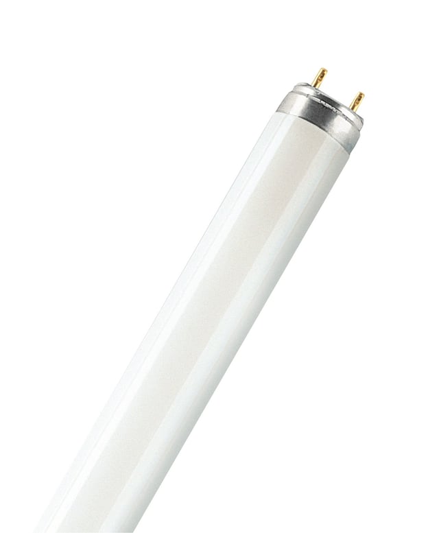 Tube fluorescent G13, 5200lm = 58W, blanc neutre, OSRAM