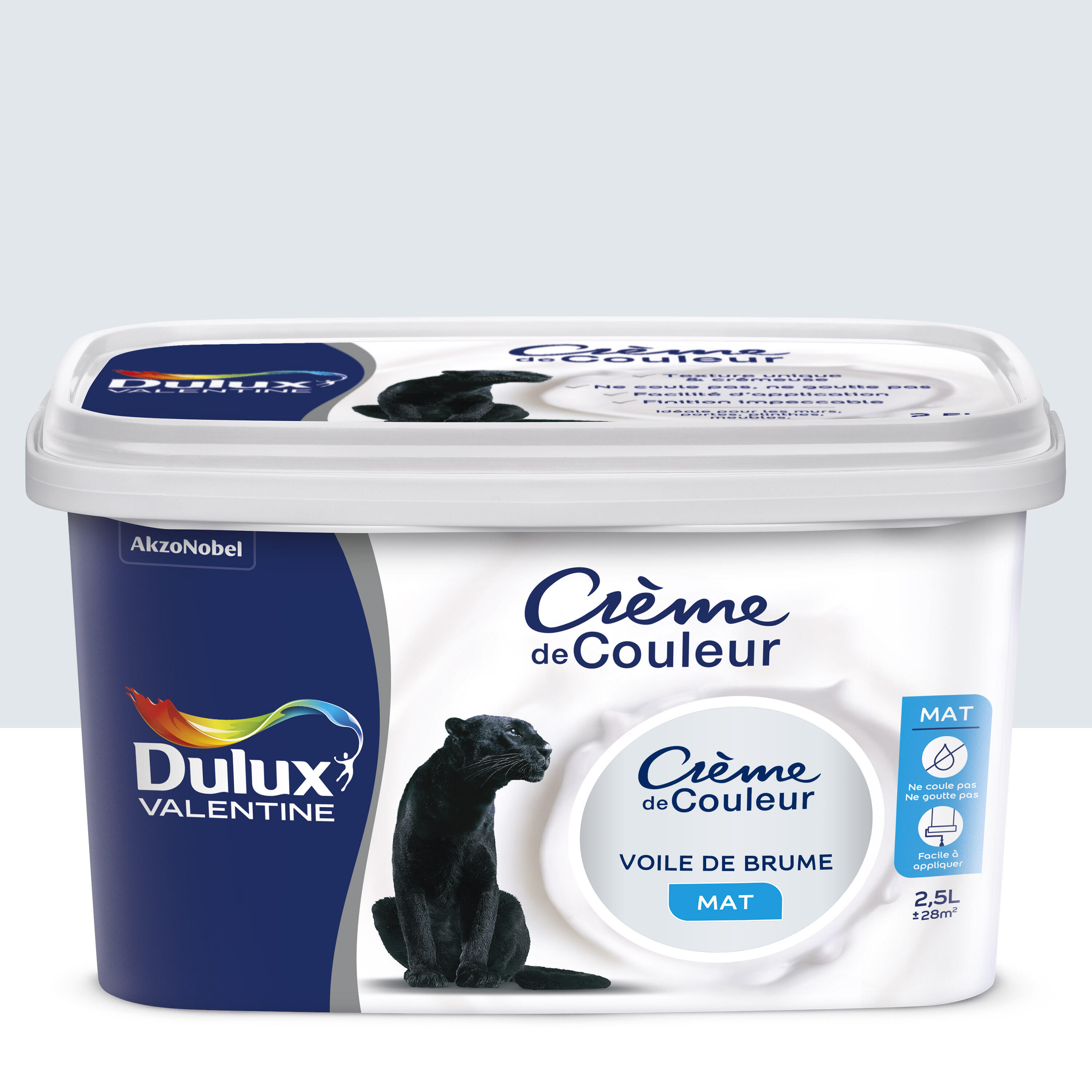 Peinture mur, boiserie Crème de couleur DULUX VALENTINE voile de brume ...