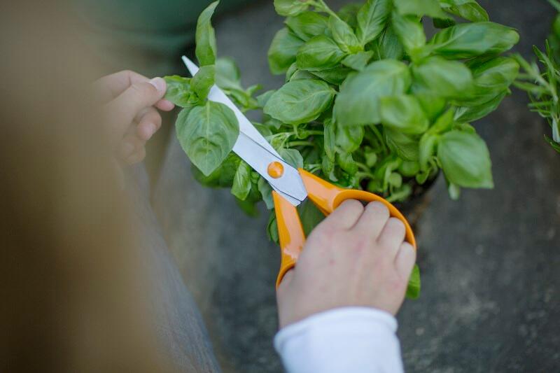 Ciseaux universels droitiers FISKARS Classic 21 cm - 7