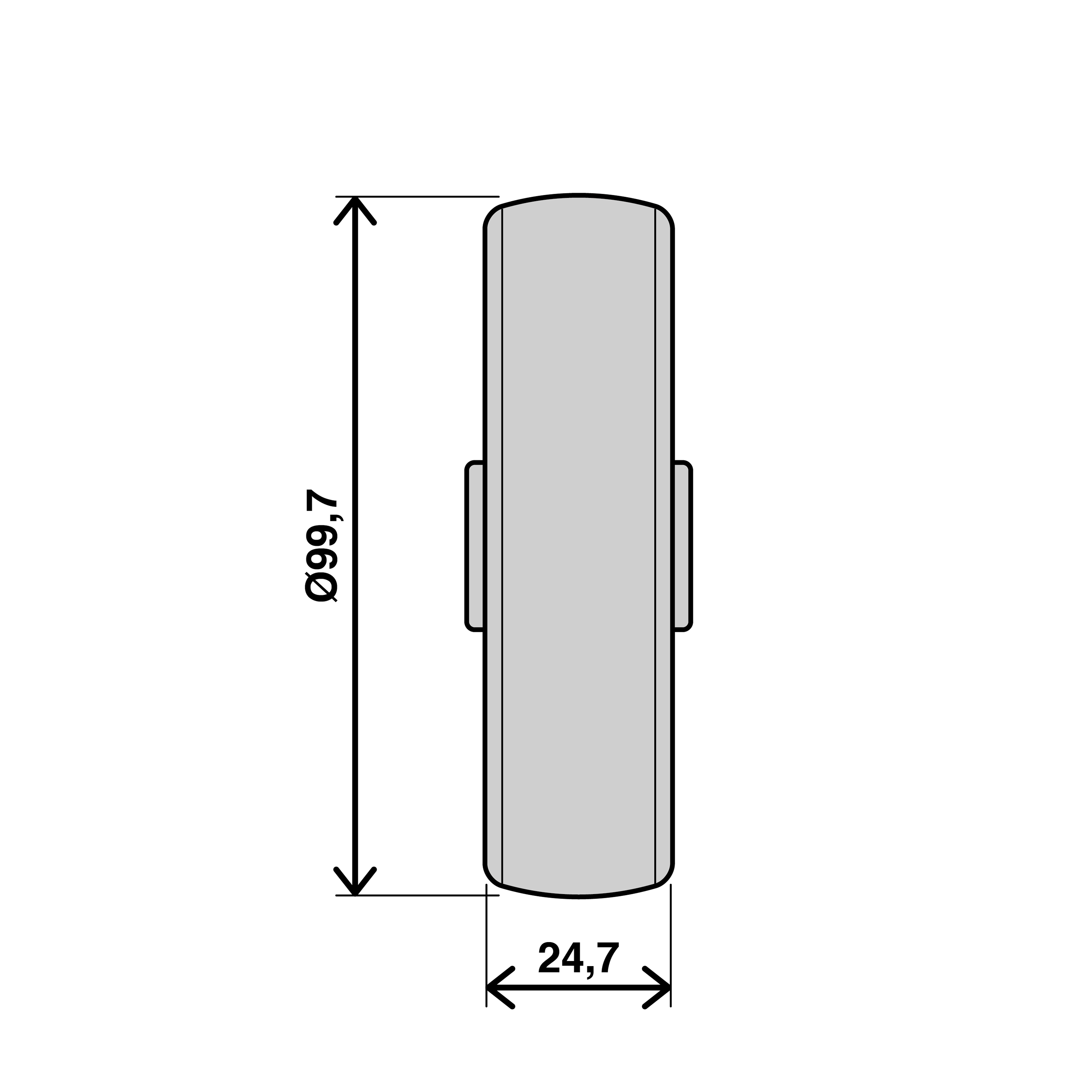 Roda para interior STANDERS 100MM 70KG CINZA - 6