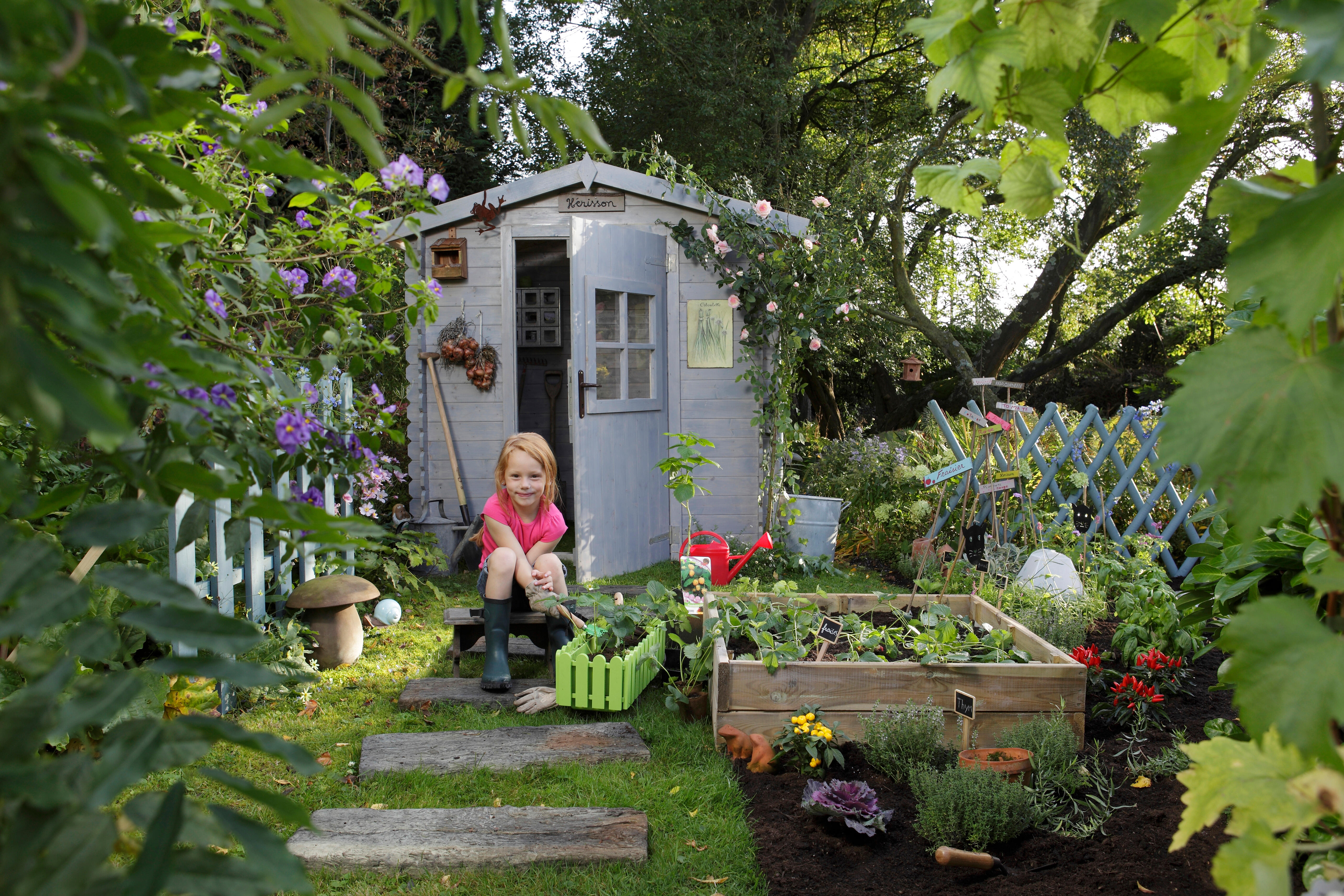 Graines de tomate VILMORIN 0.2 g - 2