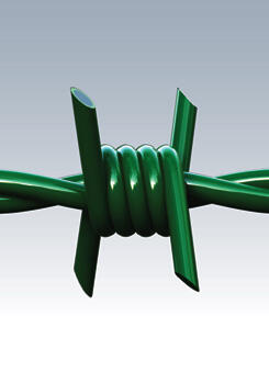 Barbelé Riccio vert, L.100 m