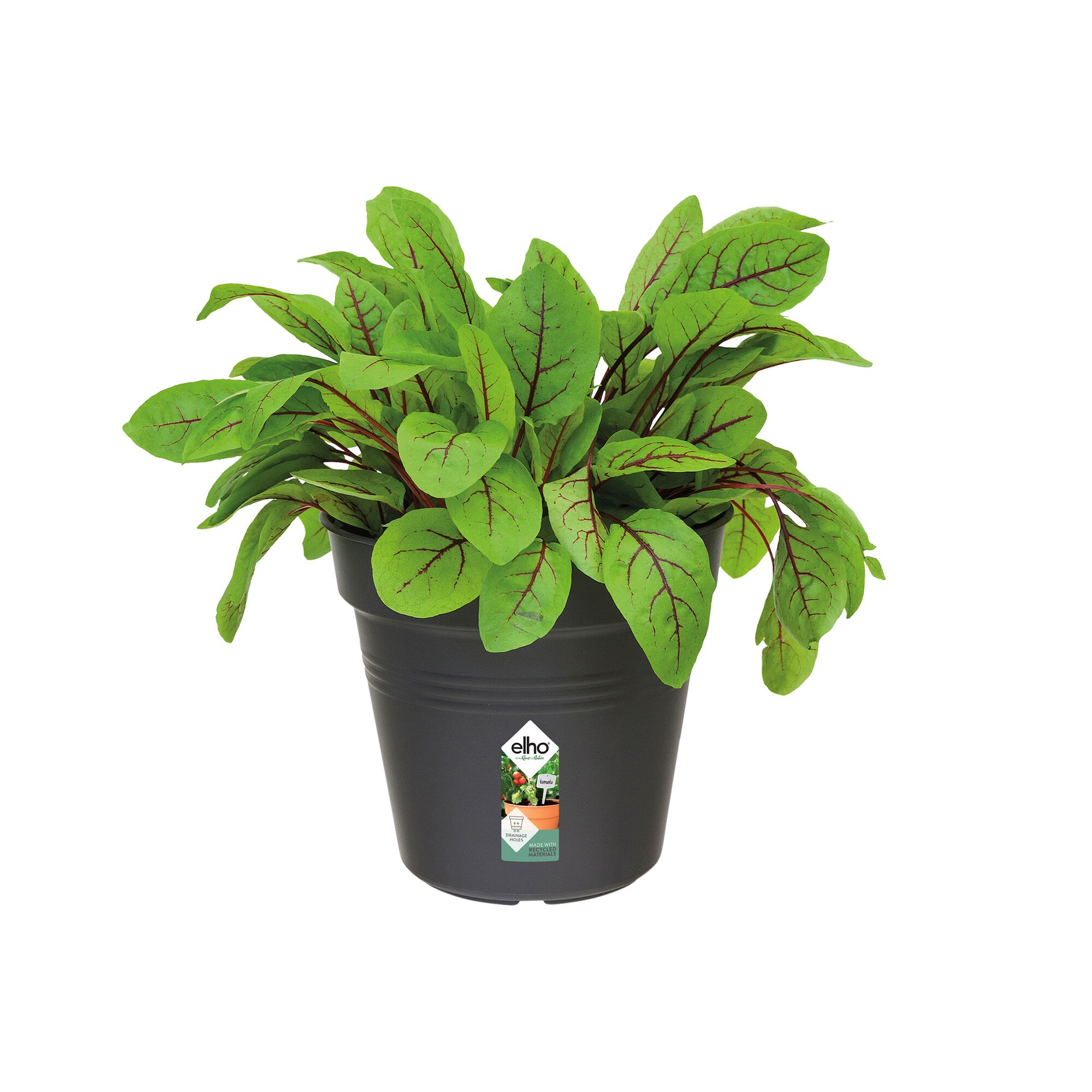 Pot plastique ELHO Diam.13 L.13 x l.13 x H.12 cm noir - 2