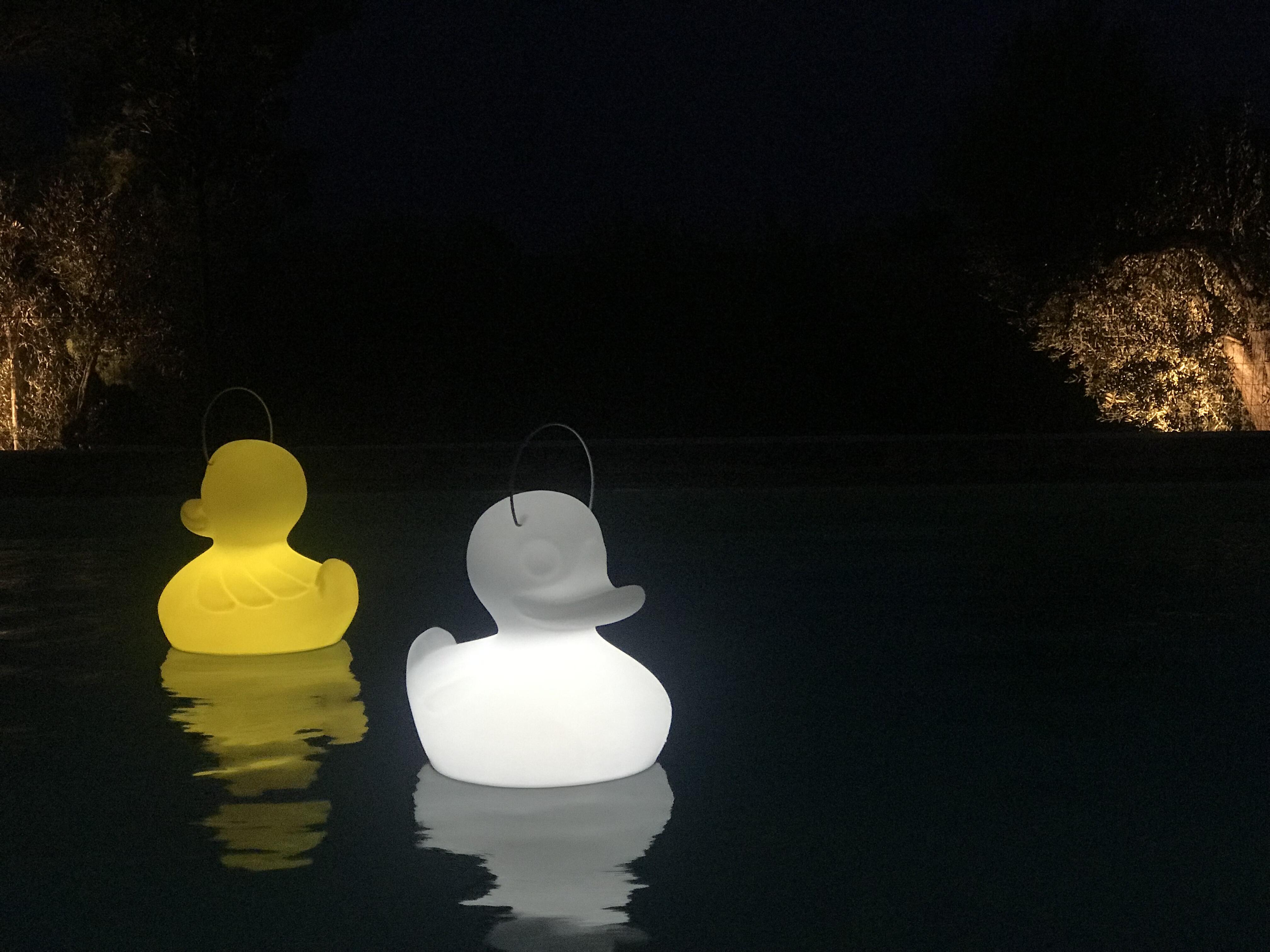 Lampe extérieure LED Duck h.30 cm 290 Lumen blanc GOOD NIGHT LIGHT - 4