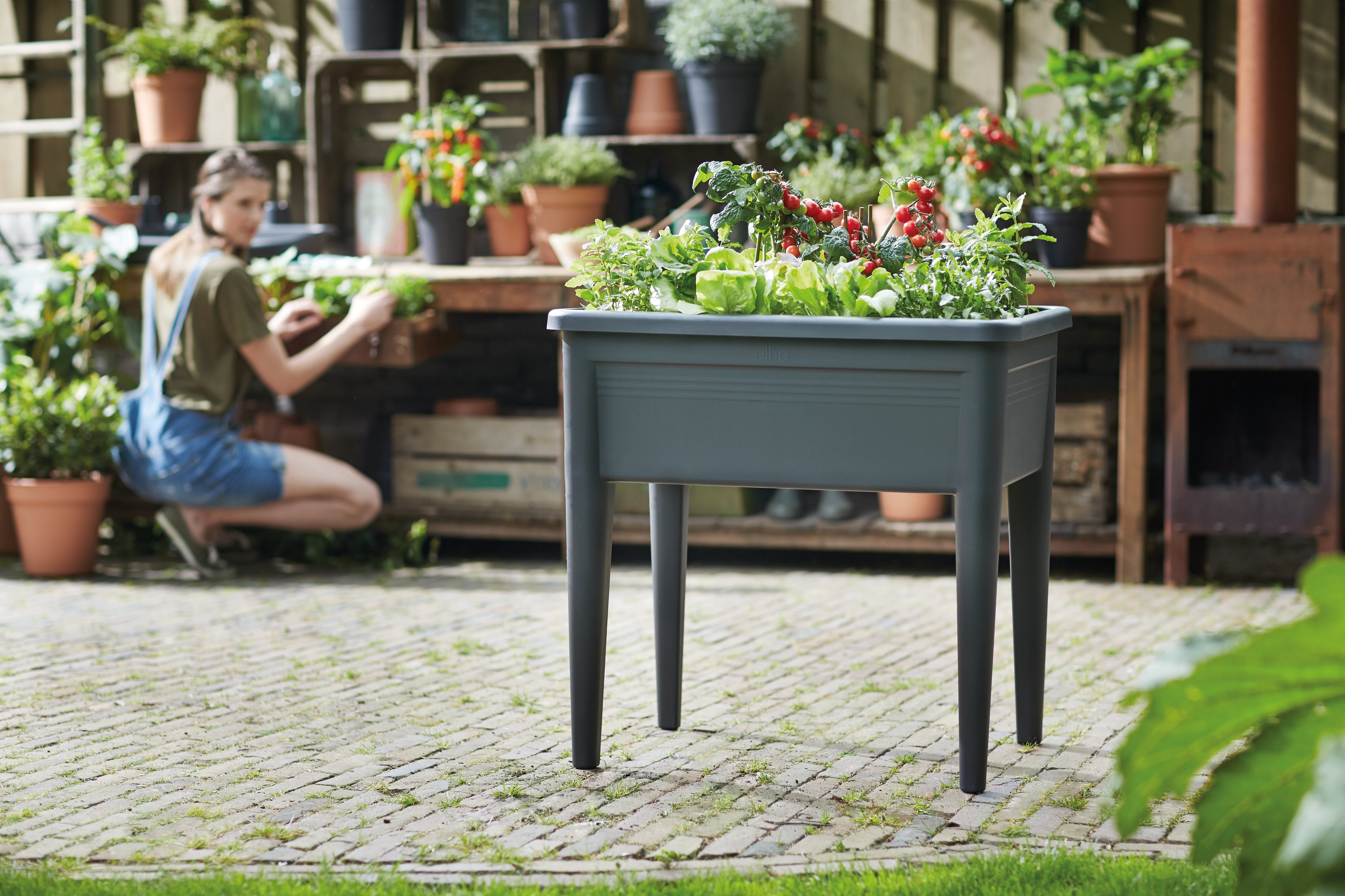 Fioriera per orto in polipropilene Green basics grow table super xxl ELHO verde L 75.5 x P 56.3 x H 73.3 cm - 3
