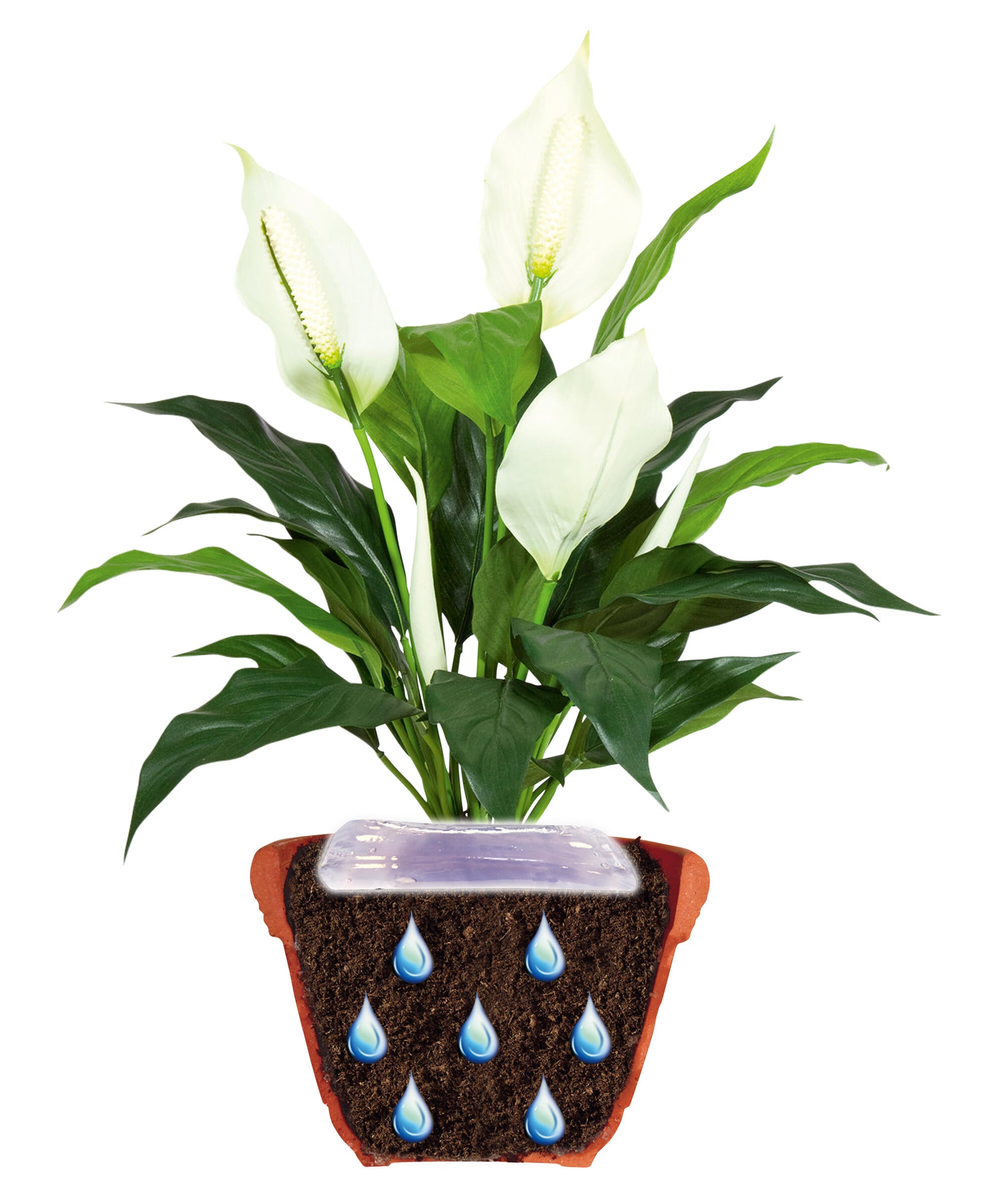 Gel de riego 400 ml para plantas de interior (30 a 40 días autonomía s/planta) - 2