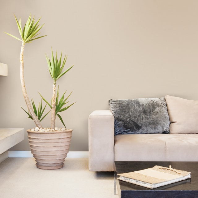 Carta da parati Inspire Tessile tortora, 53 cm x 10.05 m