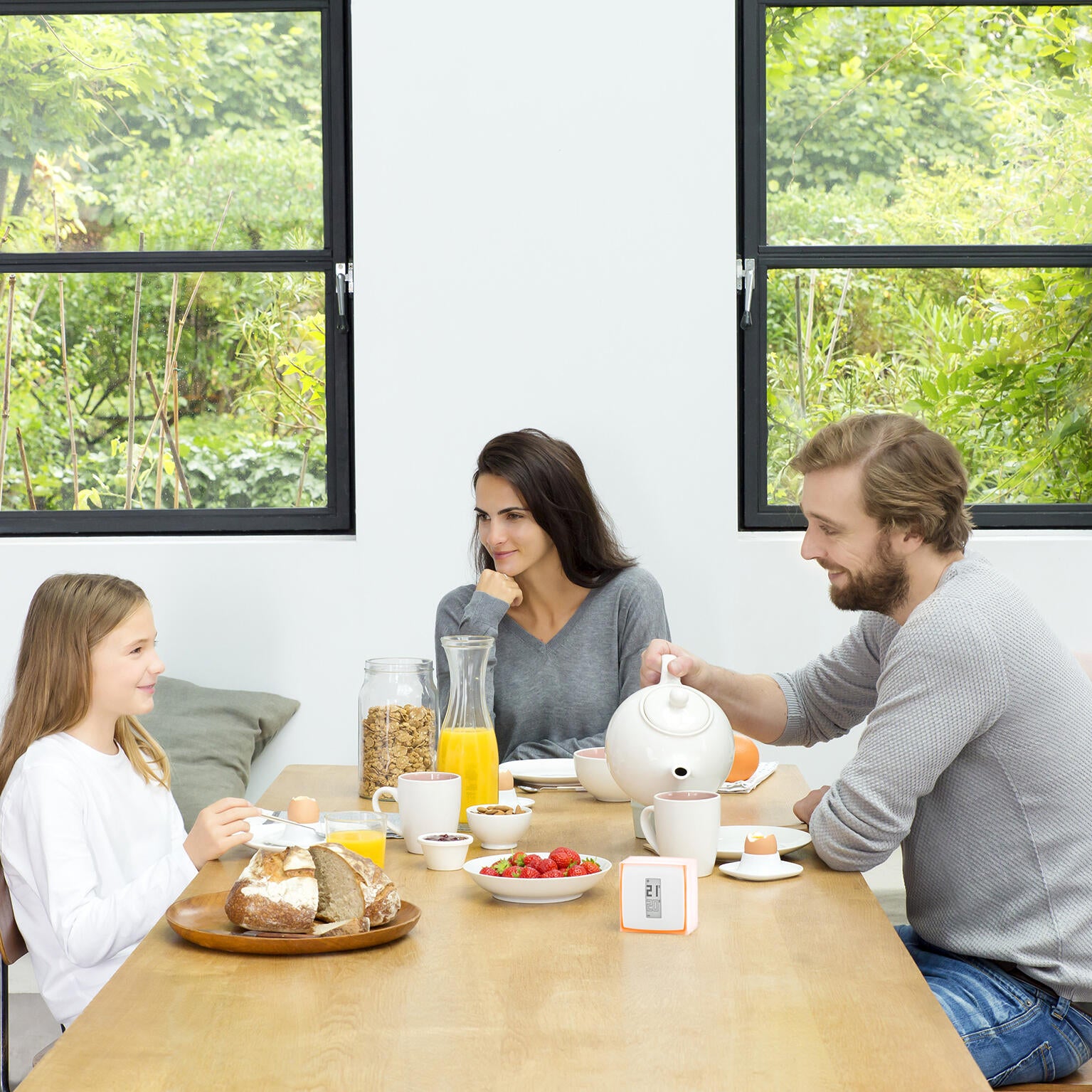 Thermostat connecté chaudière, pompe à chaleur air / eau filaire ou sans fil NET - 3