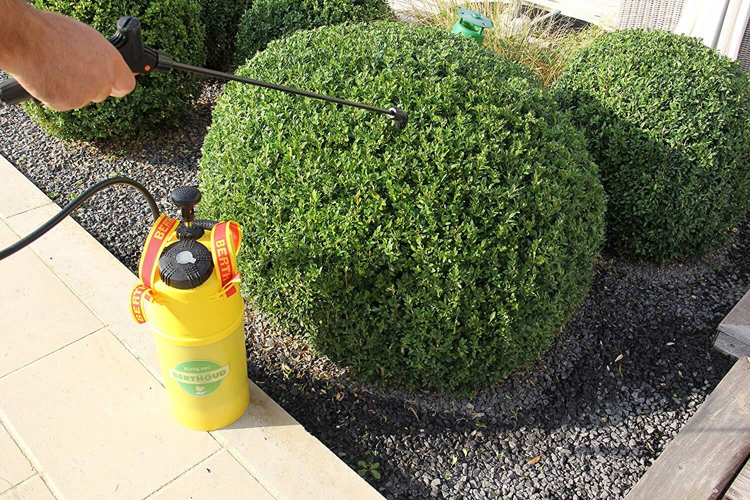 Traitement des insectes pyrale du buis SOLABIOL , pourhaie, 15g - 3