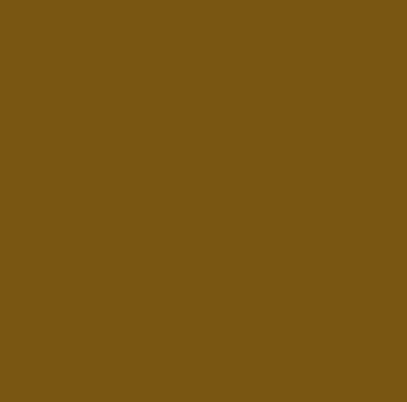 Mastic Sintobois angles & gros trous SINTO chêne 68 g - 4
