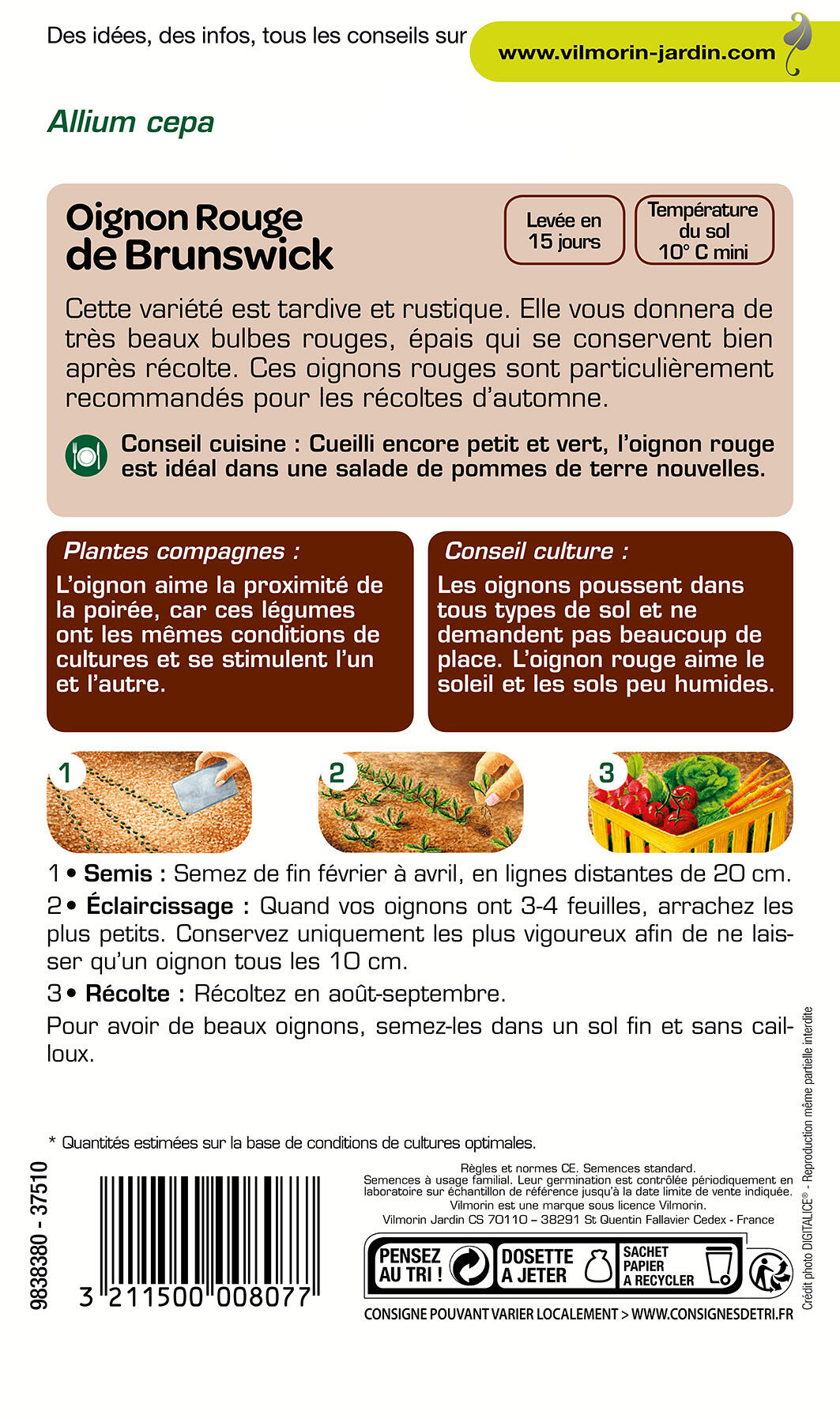 Graines de oignon VILMORIN 5 g - 2