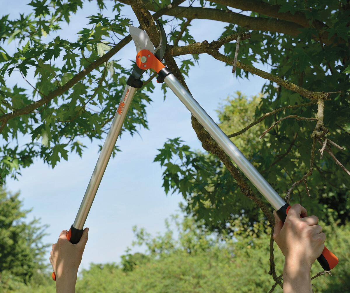 Manches légers aluminium sécateur demain coupe branche élagueur Bahco PG18 - 1