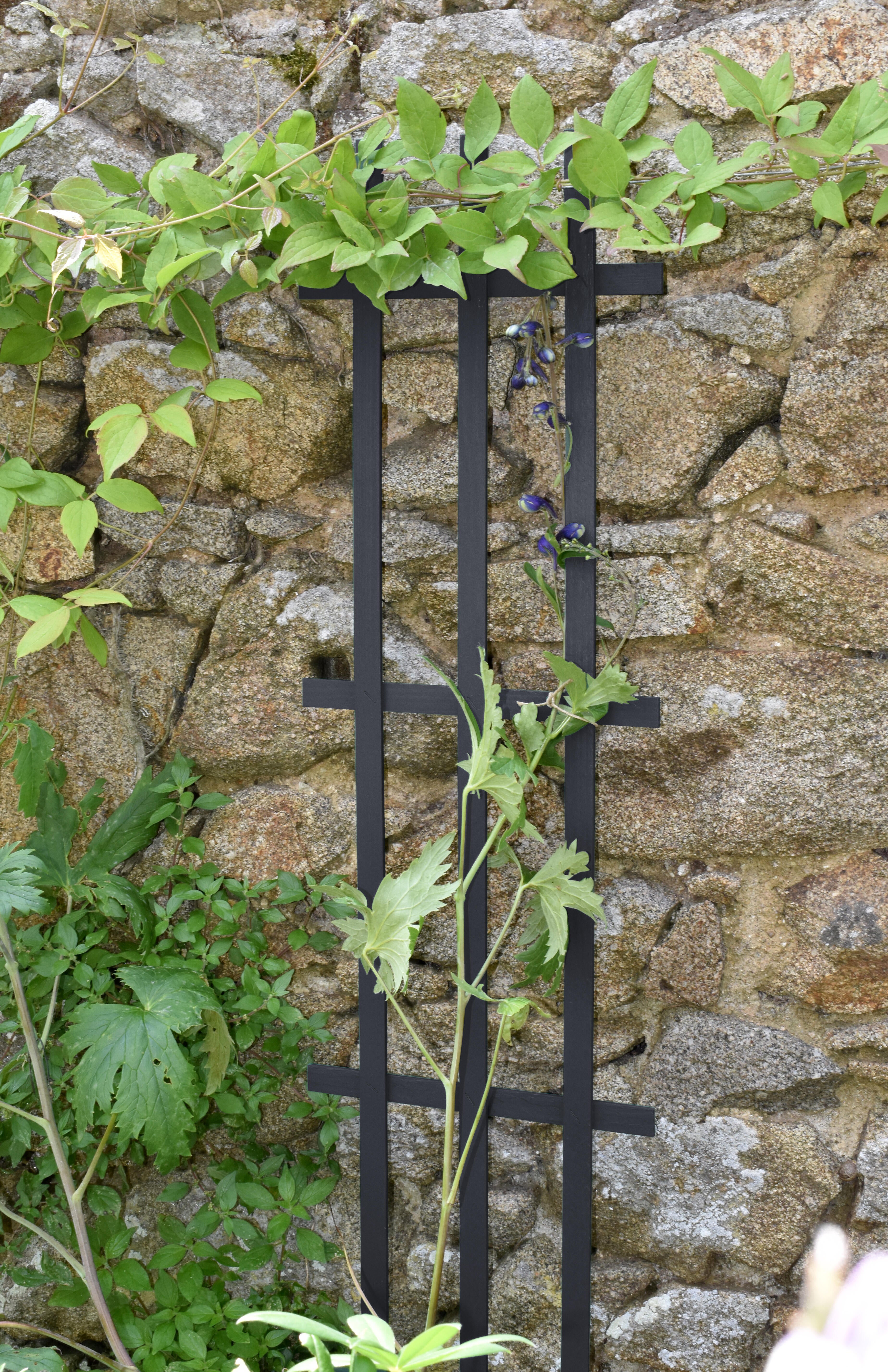 Tuteur échelle originale grimpant H.1.2 x 0.3m, anthracite - 2