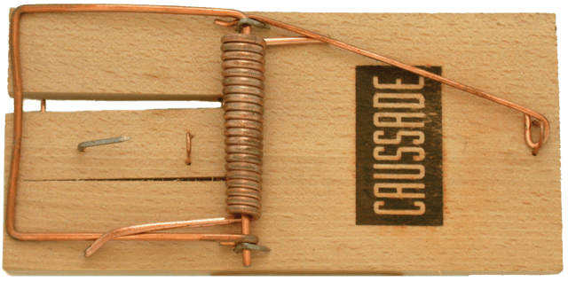 antirats CAUSSADE, 1 piège