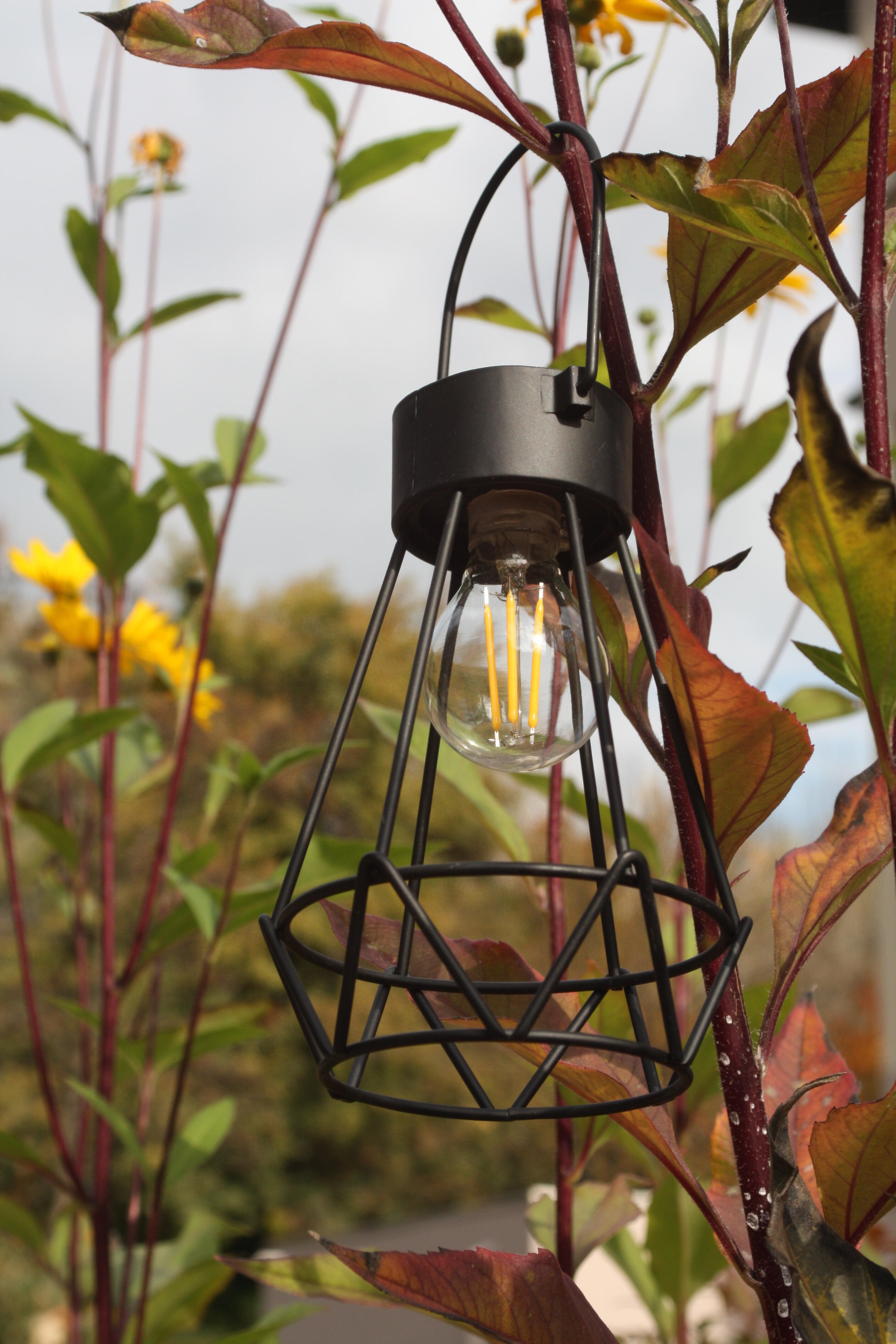 Lampe solaire Britt, 2 lumens, noir, WATT & HOME - 2