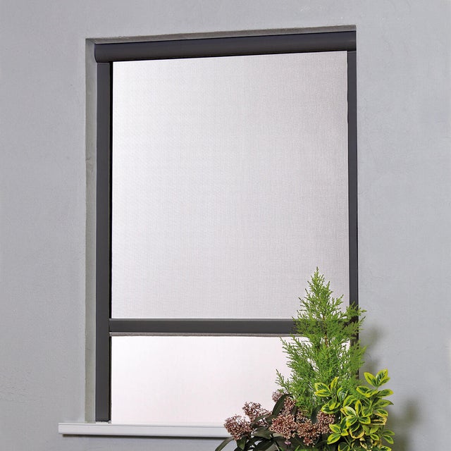 Moustiquaire H.100xl.80cm enroulement vertical pour fenêtre MOUSTIKIT alu gris