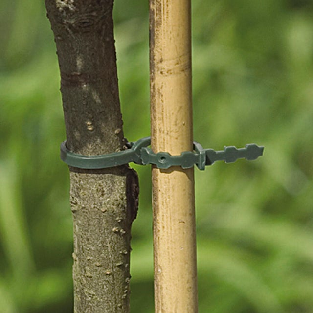 40 colliers polypropylène vert, longueur 0.17 m NORTENE