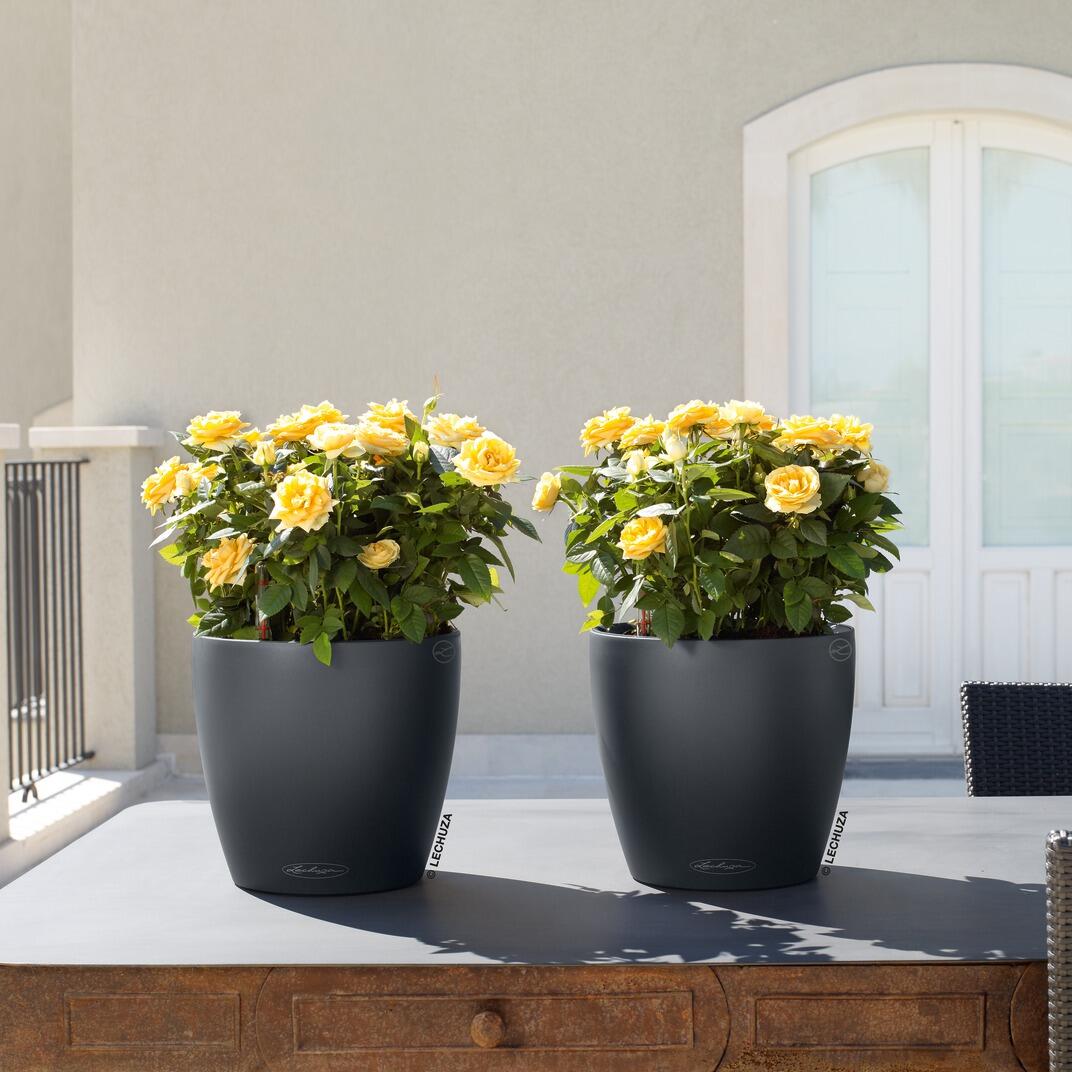 Vaso autoirrigante LECHUZA in polipropilene grigio H 20 x ø 21 cm - 2