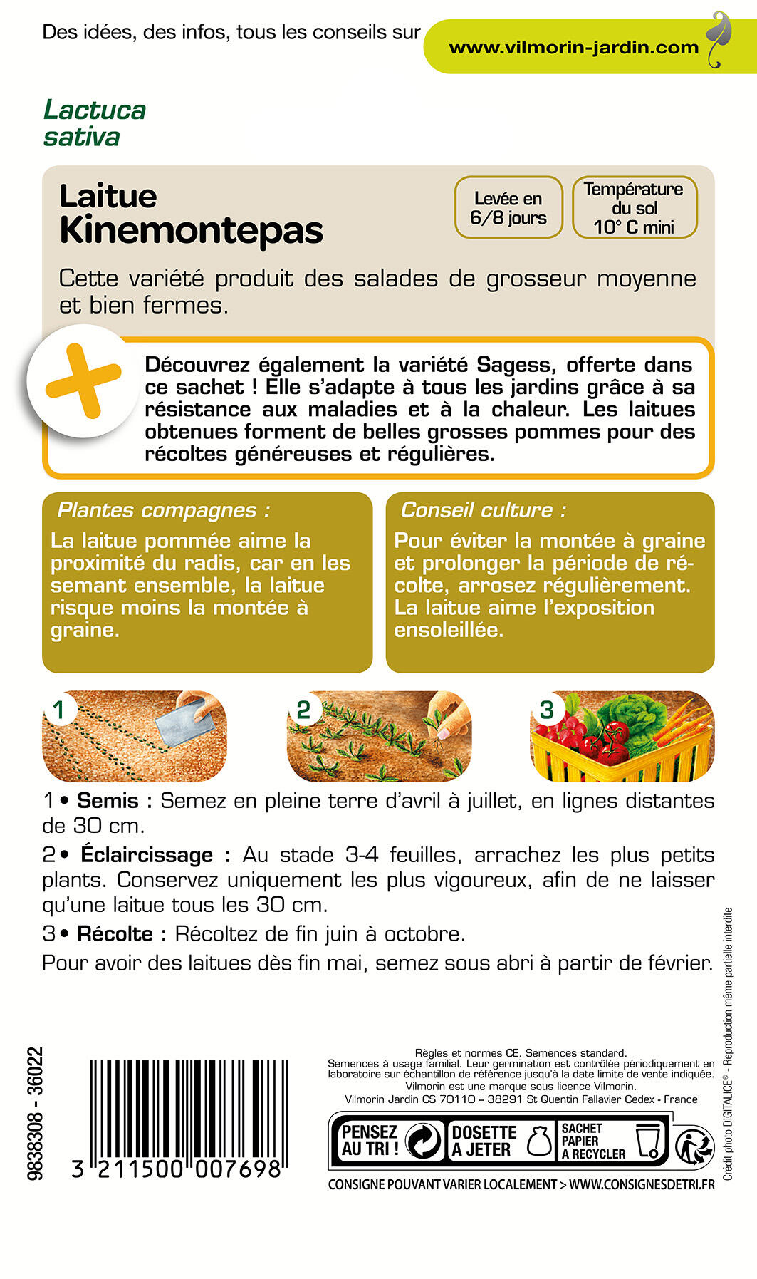 Graines de laitue VILMORIN 4.3 g - 2