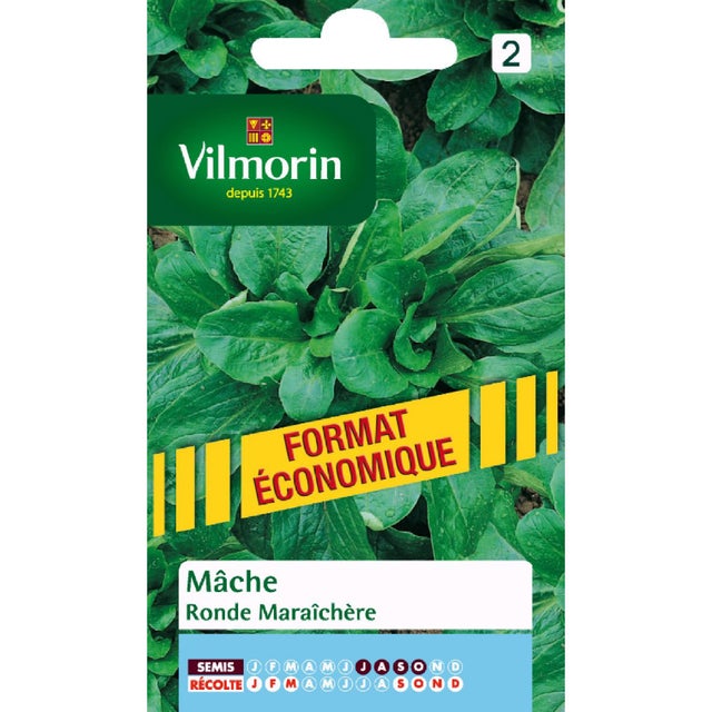 Mâche ronde maraîchère VILMORIN 9 g