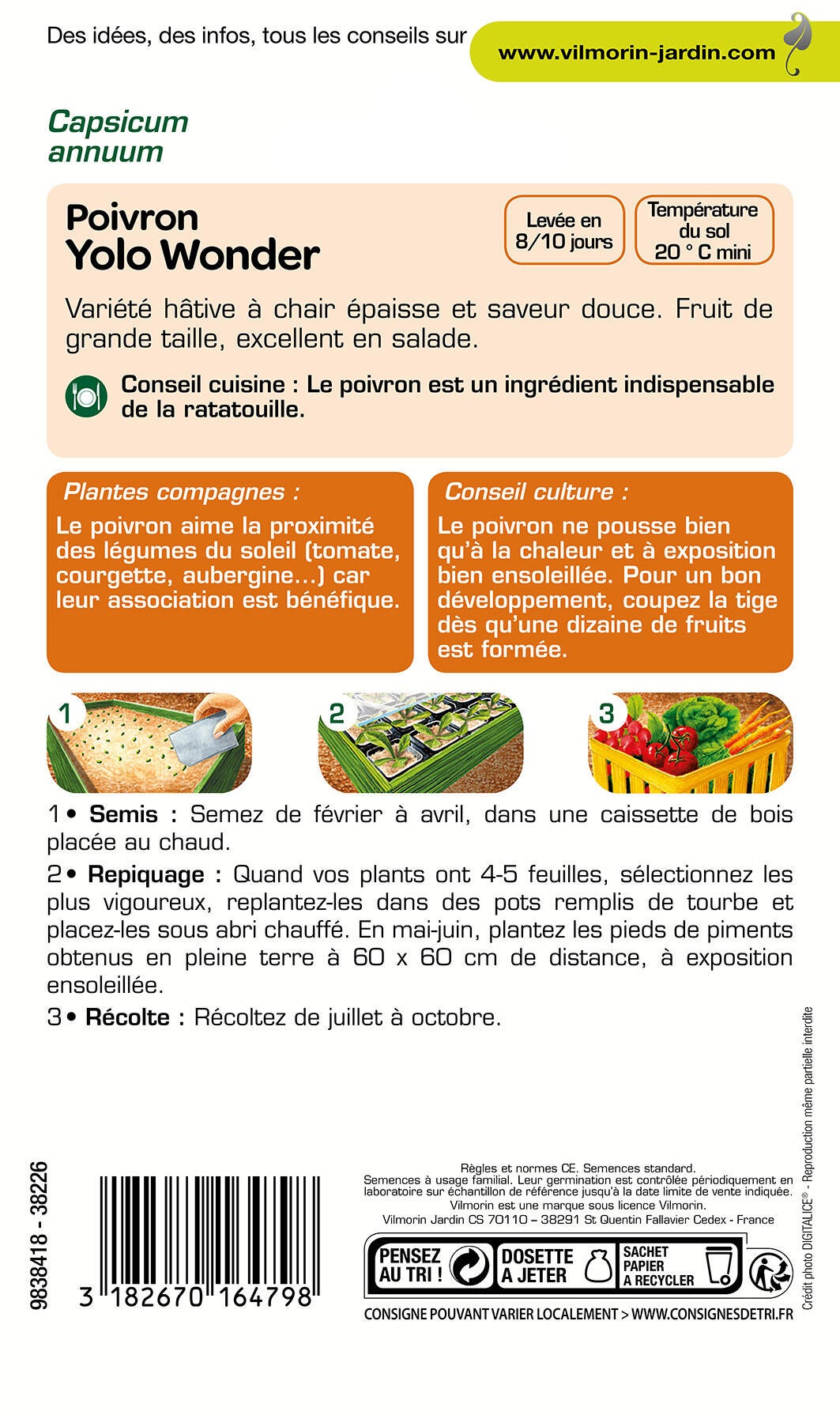 Graines de poivron VILMORIN 1.5 g - 2