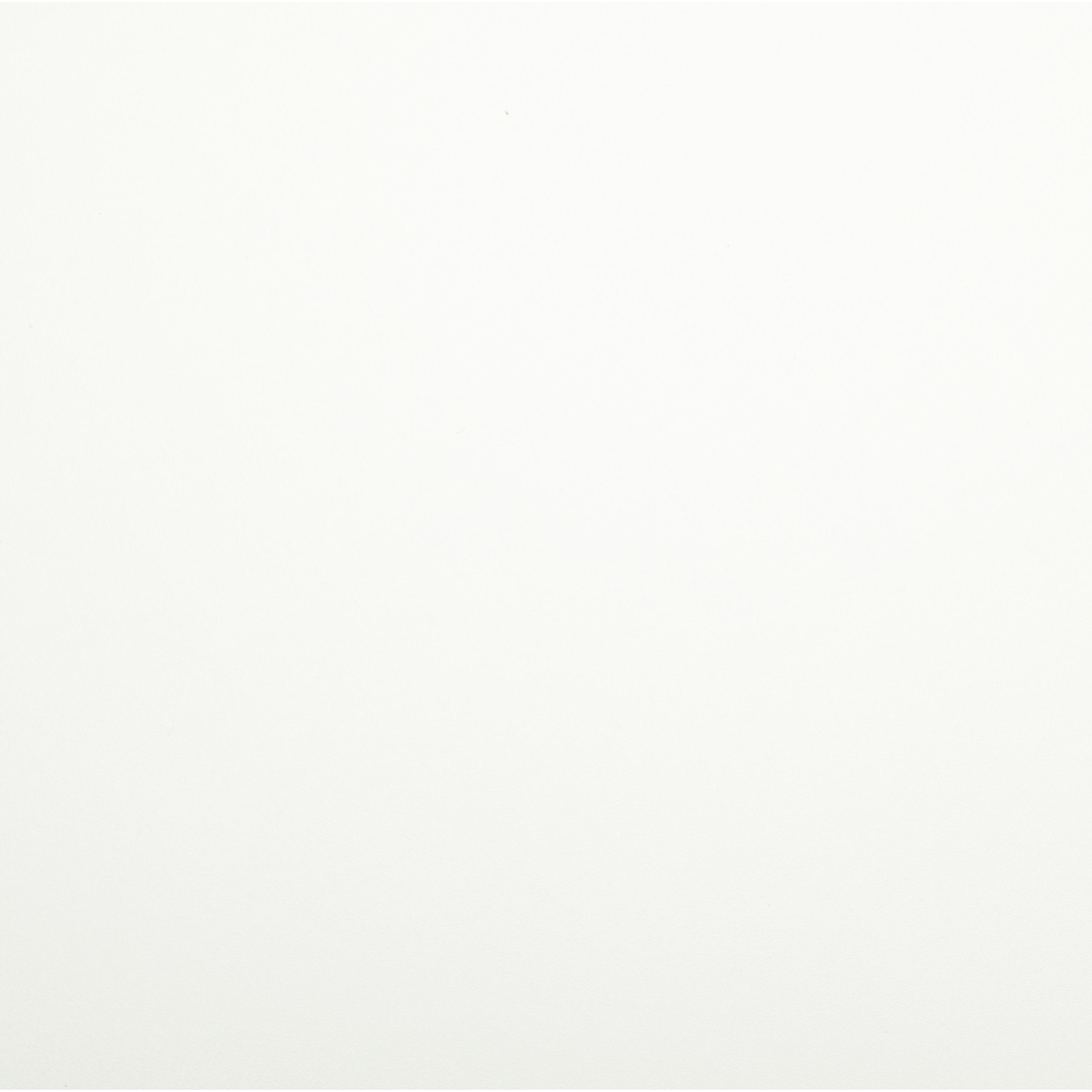 Panneau aggloméré blanc, Ep.18 mm x L.250 x l.125 cm - 2