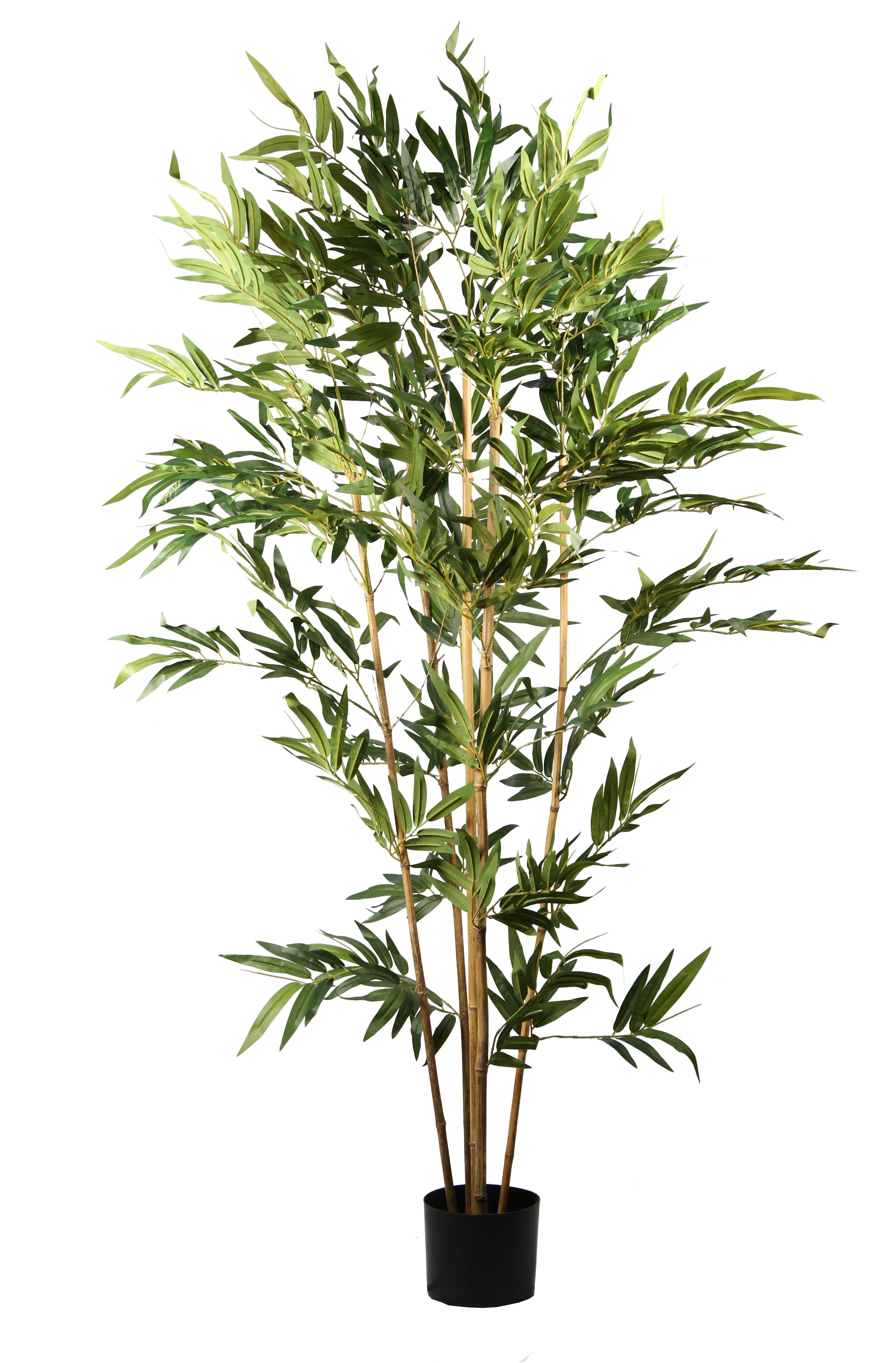 Bambou artificiel 5 troncs 864 feuilles H180 cm, Ligne Déco - 2