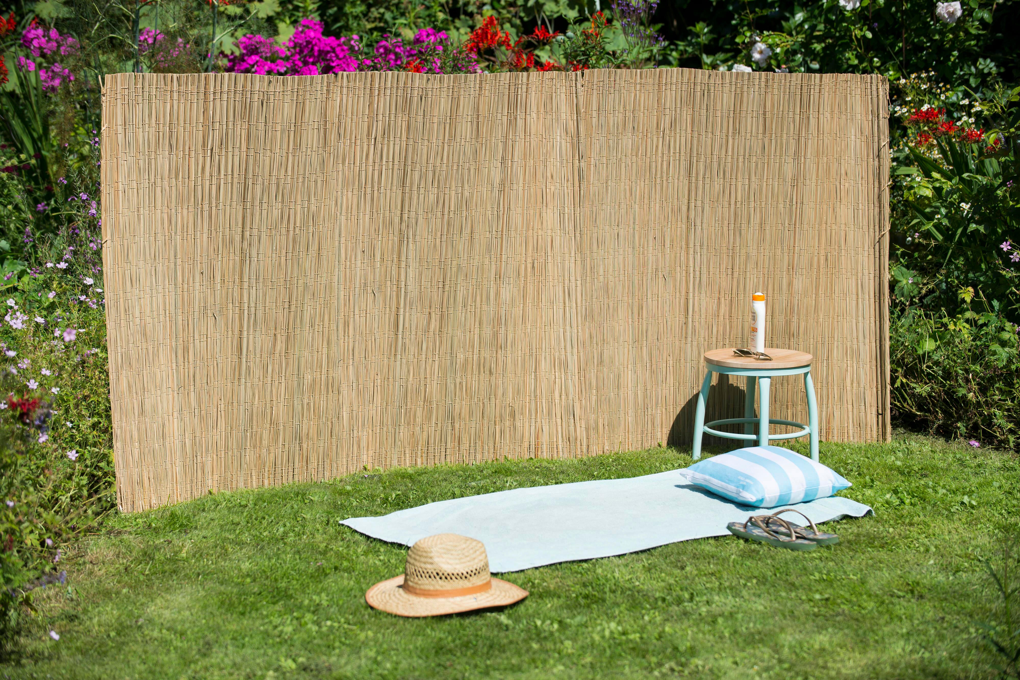 Canisse carex beige, H.1 x L.3 m, NATURE - 2