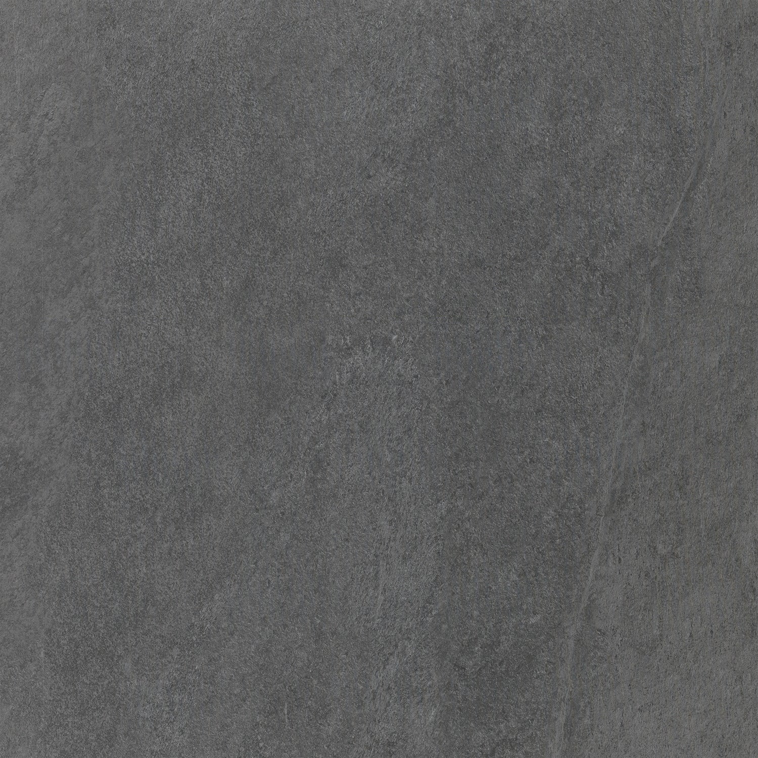 Carrelage mur intérieur / sol intérieur effet pierre gris moyen Quartzite l.45 x - 2