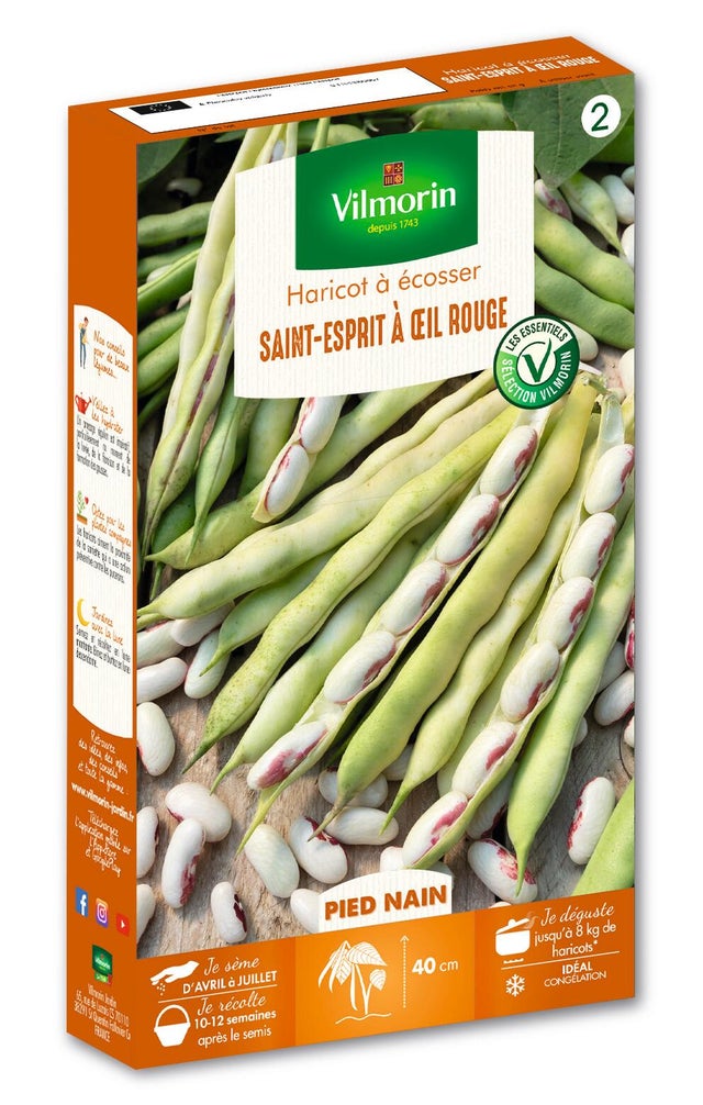 Haricot saint-esprit à œil rouge VILMORIN 200 g
