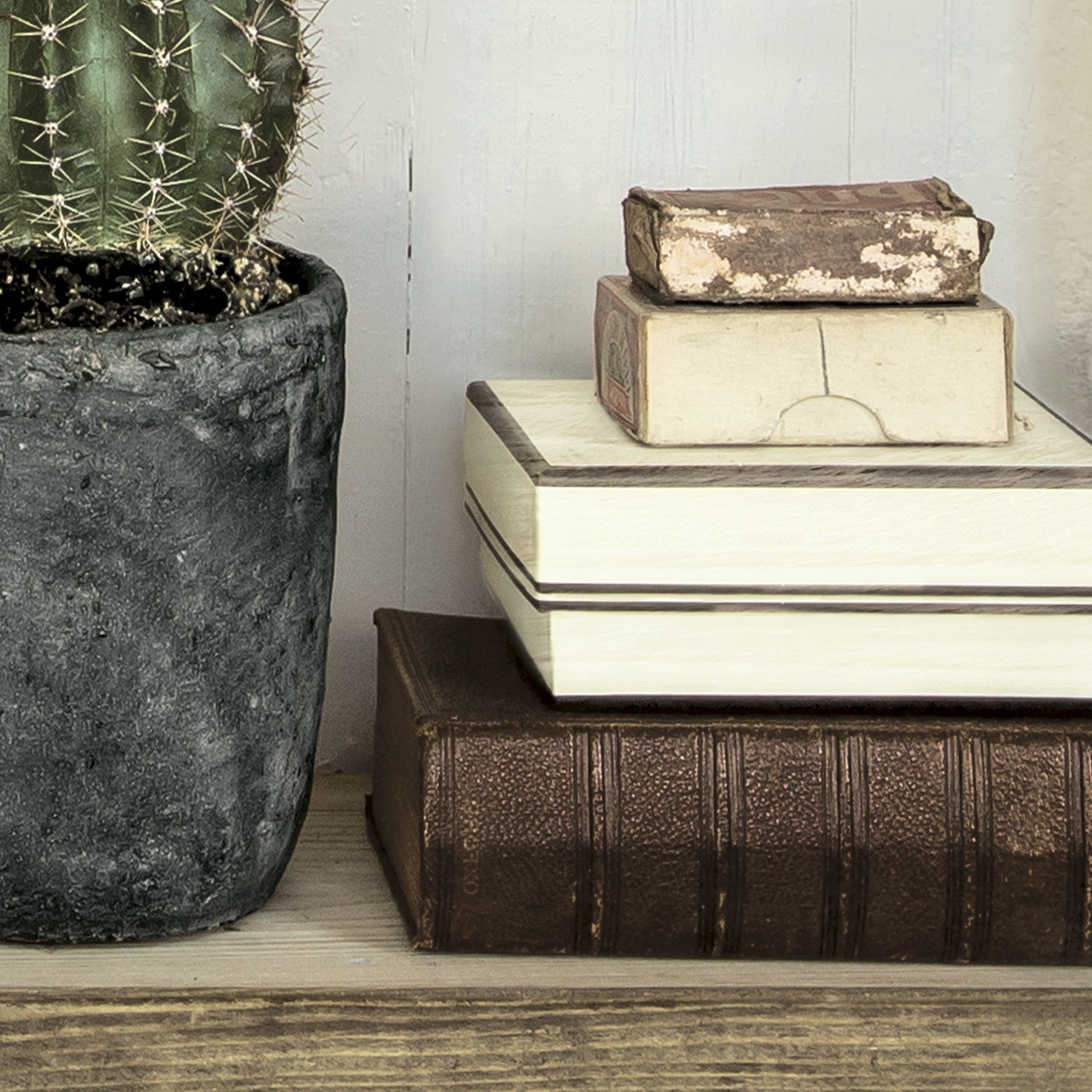 Papier peint intissé Reality étagère cactus bois - 3