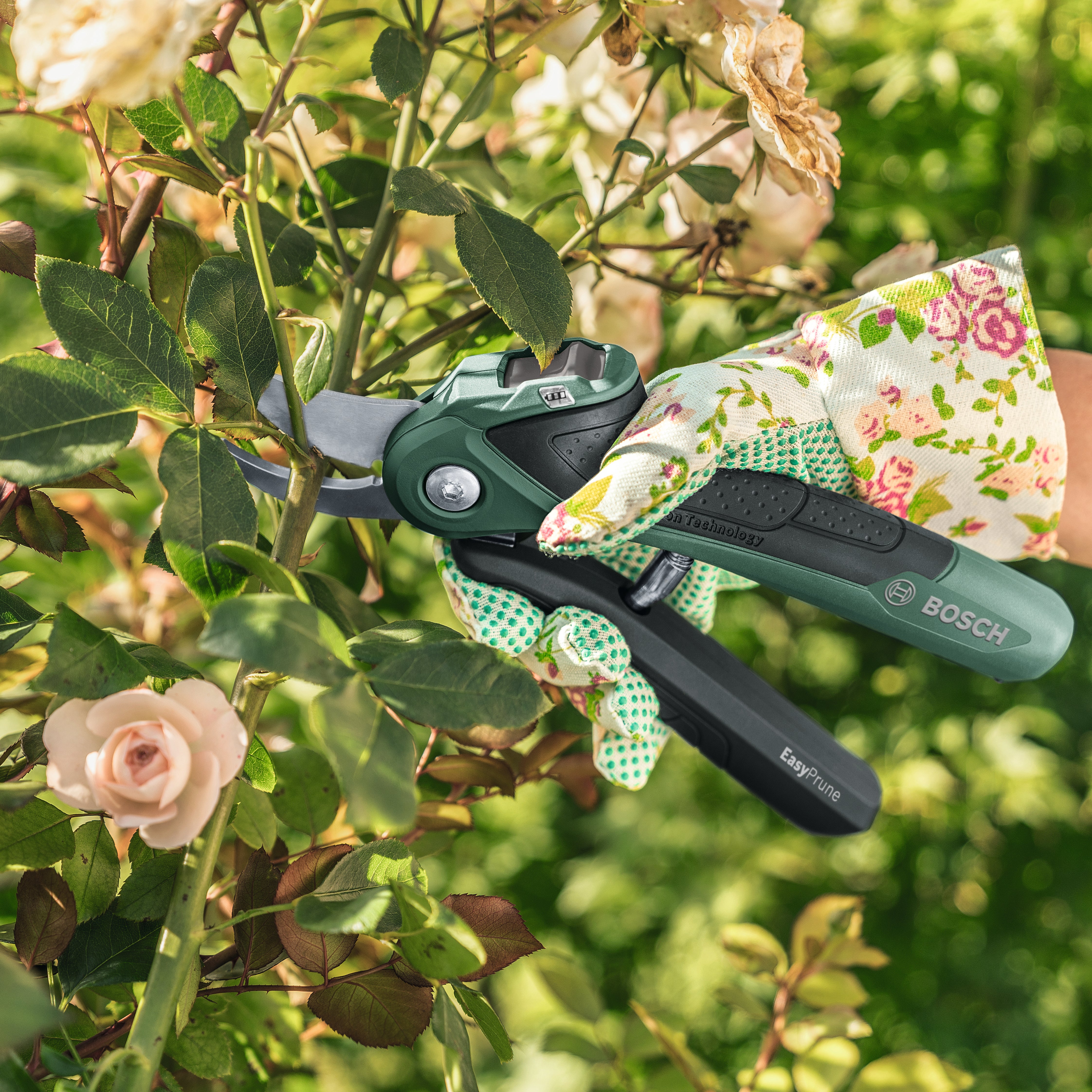 Cesoie potatura a batteria da giardino BOSCH EasyPrune 3.6V, 1 batteria inclusa - 9