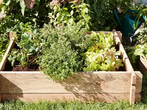 Kit jardinage pour jardinière et carré potager – 3 outils - Calipso