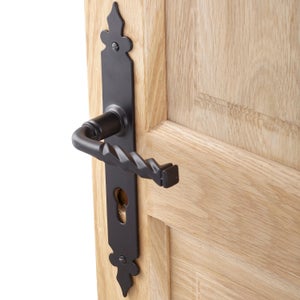 Poignée Porte Sur Plaque HOPPE Zürich - Alu Champagne - Pour Porte 58-67 Mm