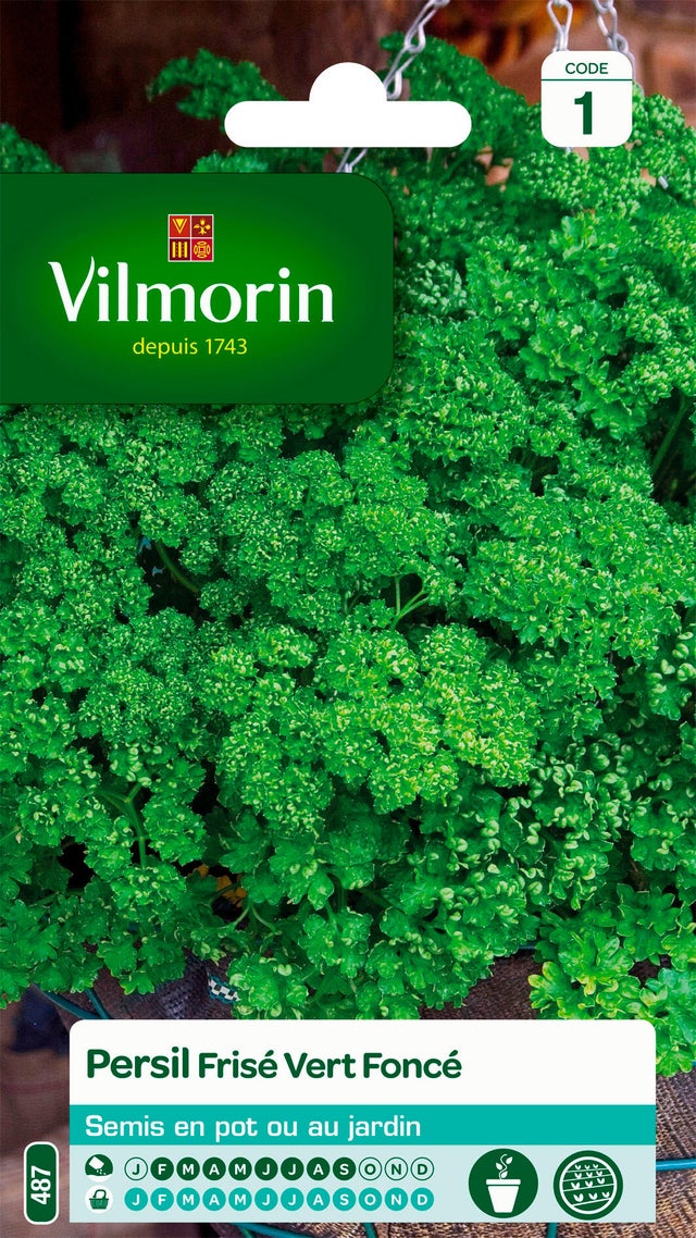 Graines de persil VILMORIN 5 g