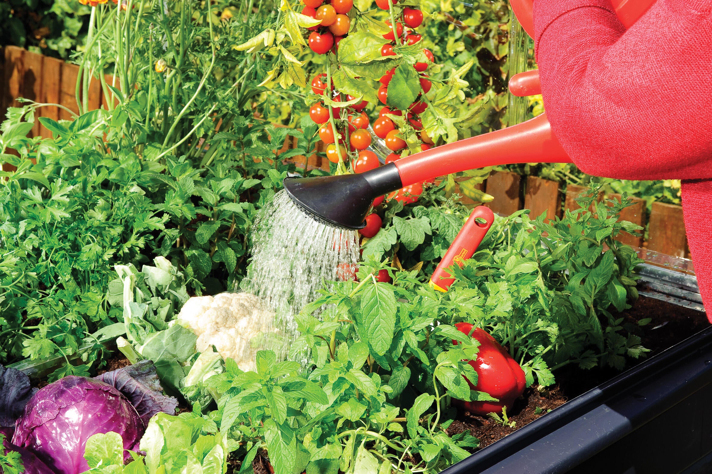 Carré potager PALRAM noir et argent L.121 x l.120 x H.148 cm - 13
