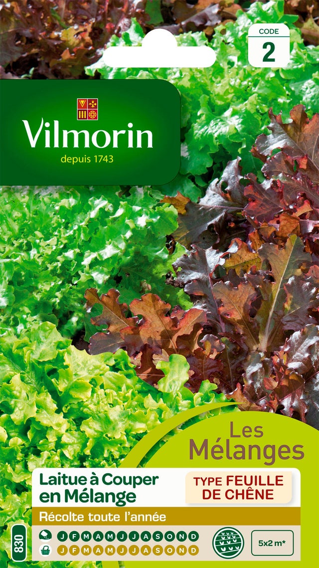 Salade en mélange VILMORIN 4 g