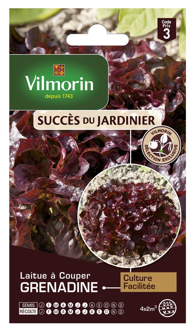 Laitue grenadine VILMORIN 3 g